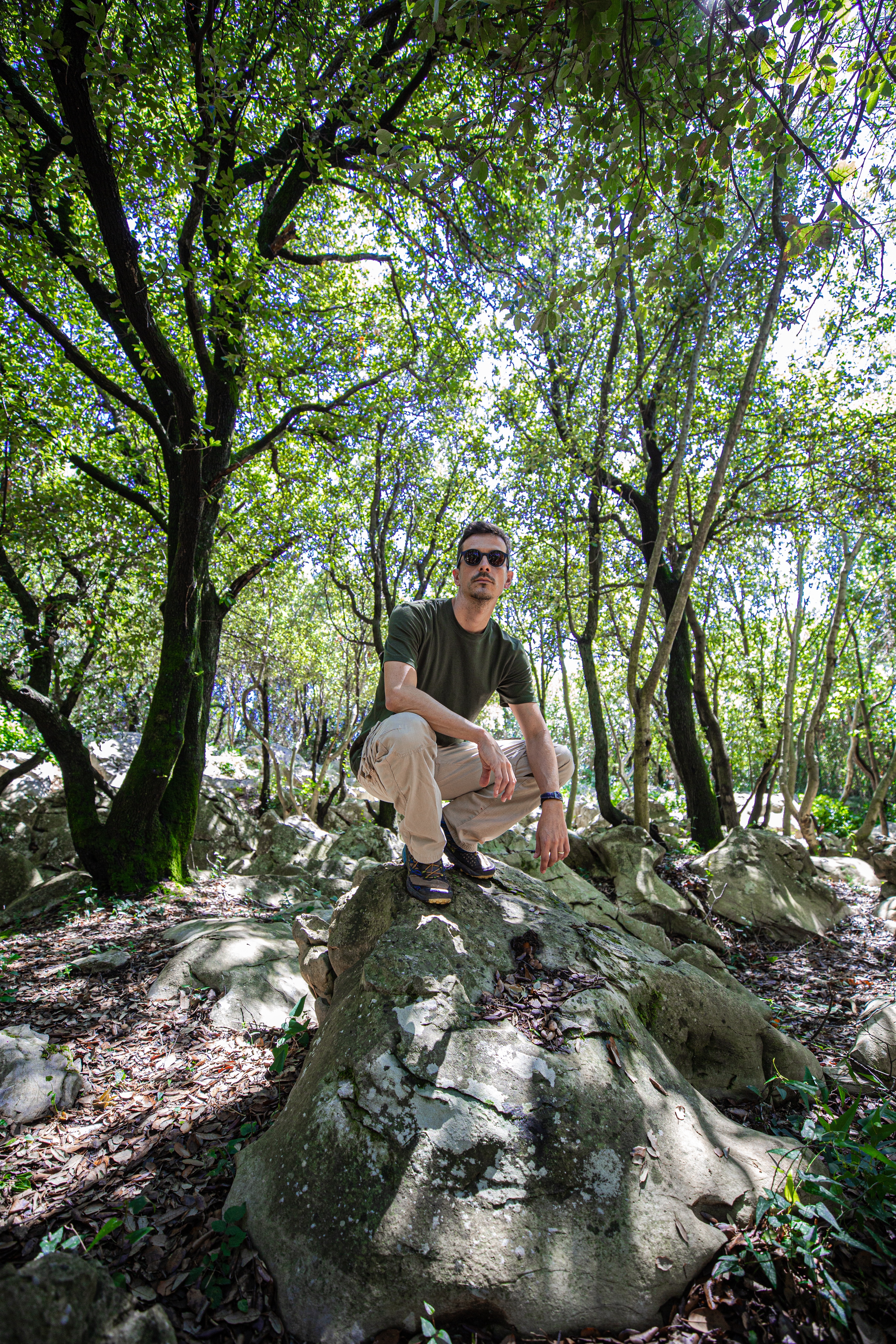 Chasseurs de dinosaures  Canada (1).jpg