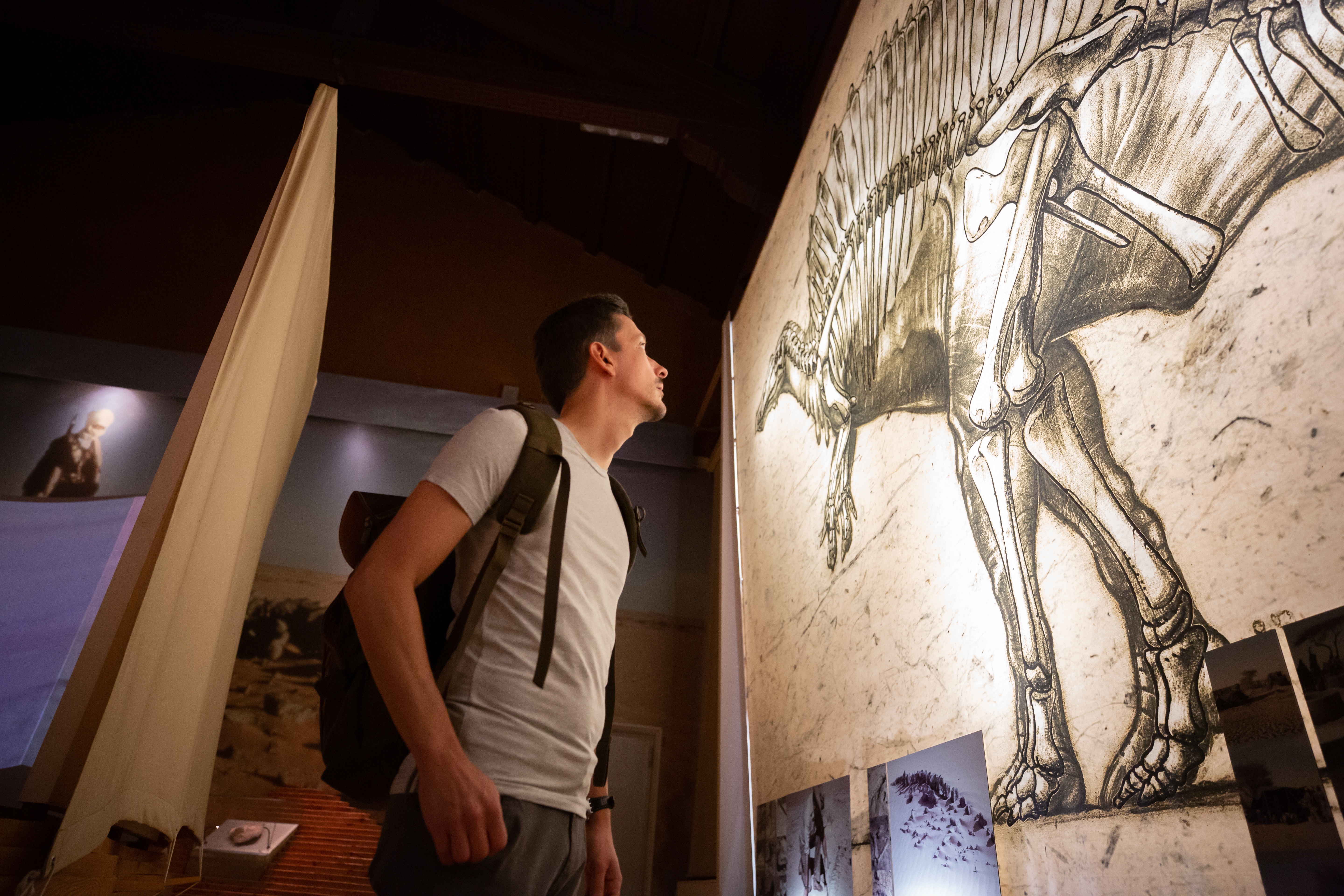 Chasseurs de dinosaures  Canada (3).jpg