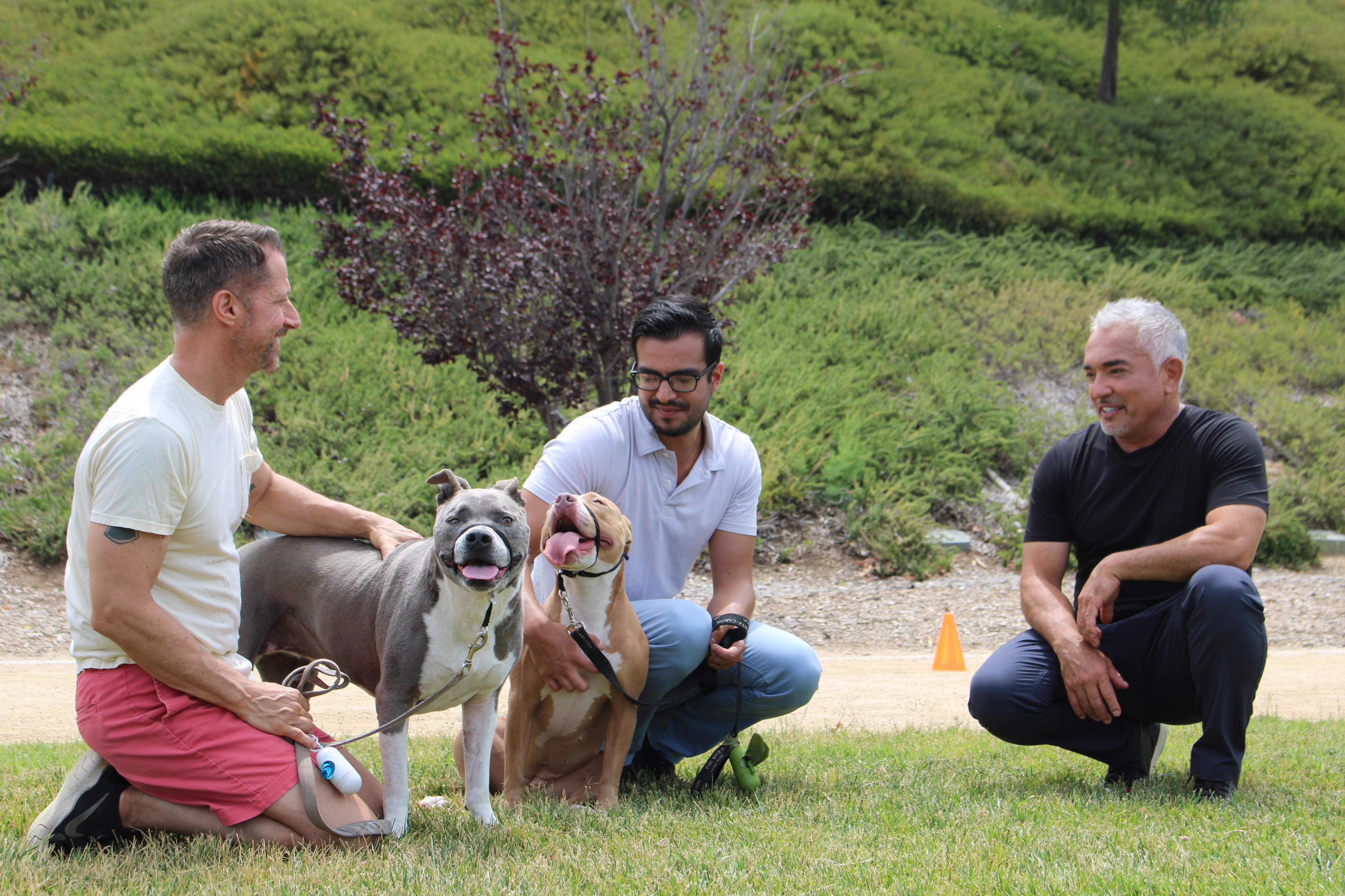 Cesar Milan (1).jpg