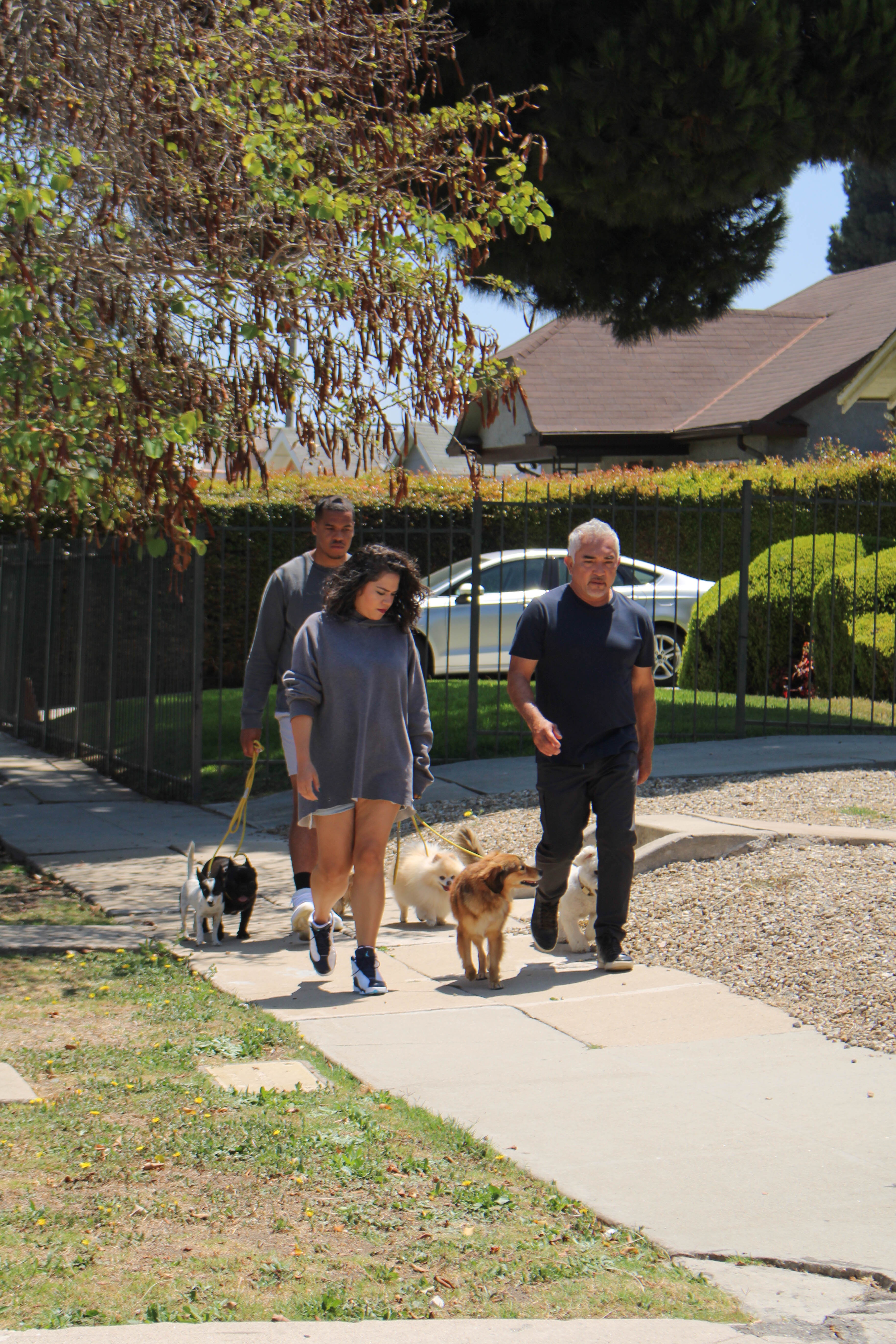 Cesar Millan  (1).jpg