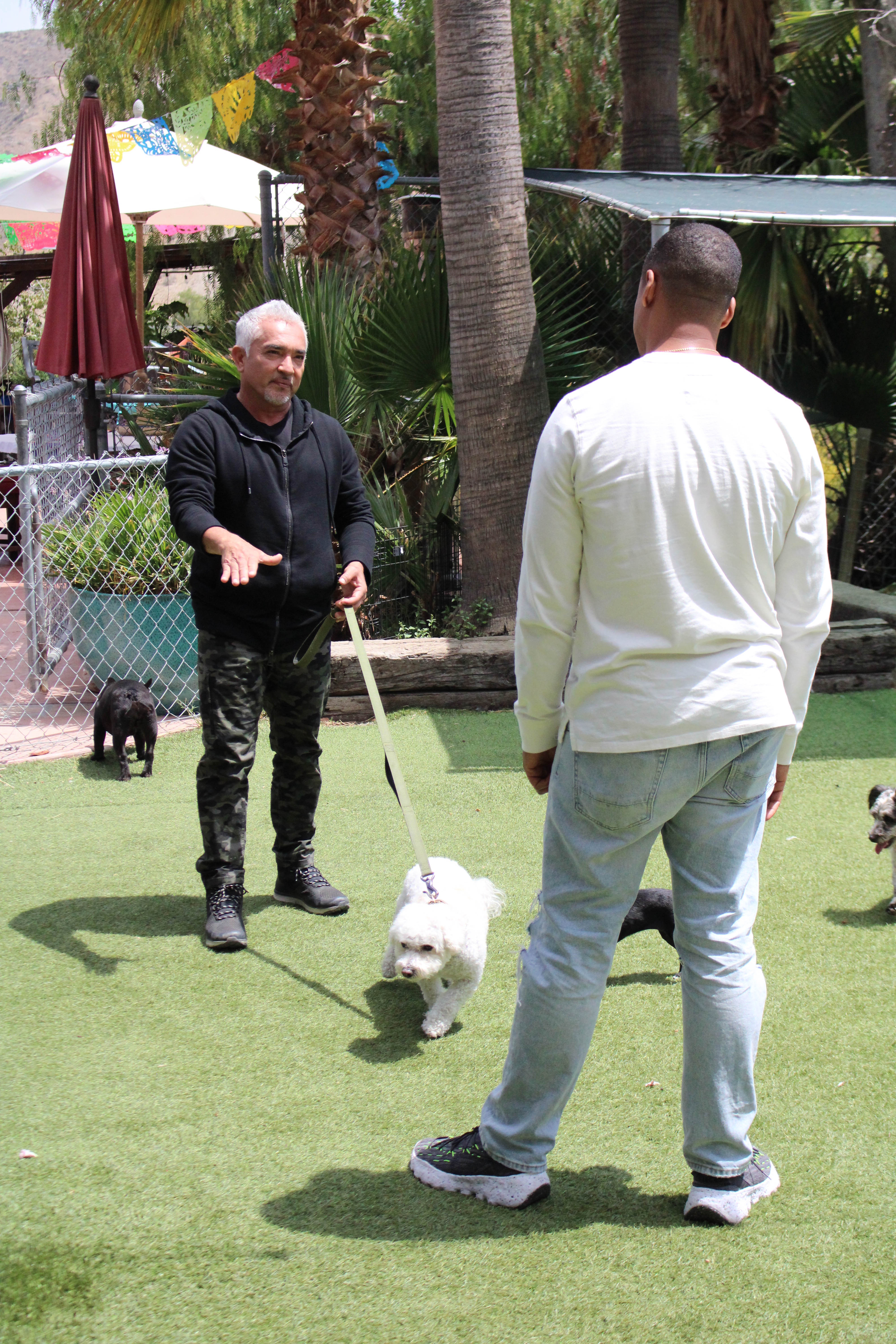 Cesar Millan  (3).jpg