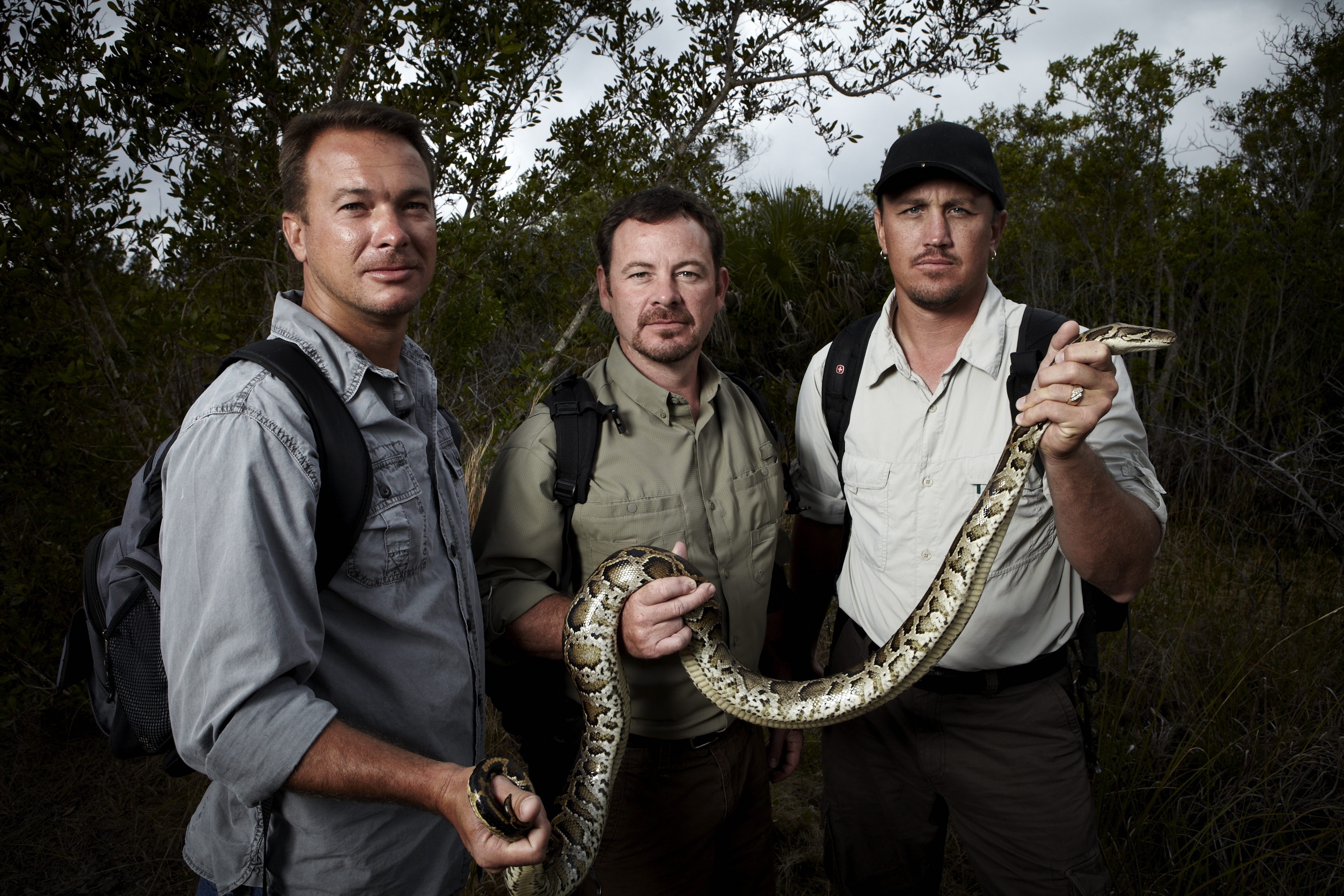 Chasseurs de pythons  L'anaconda de l'Amazone (1).JPG