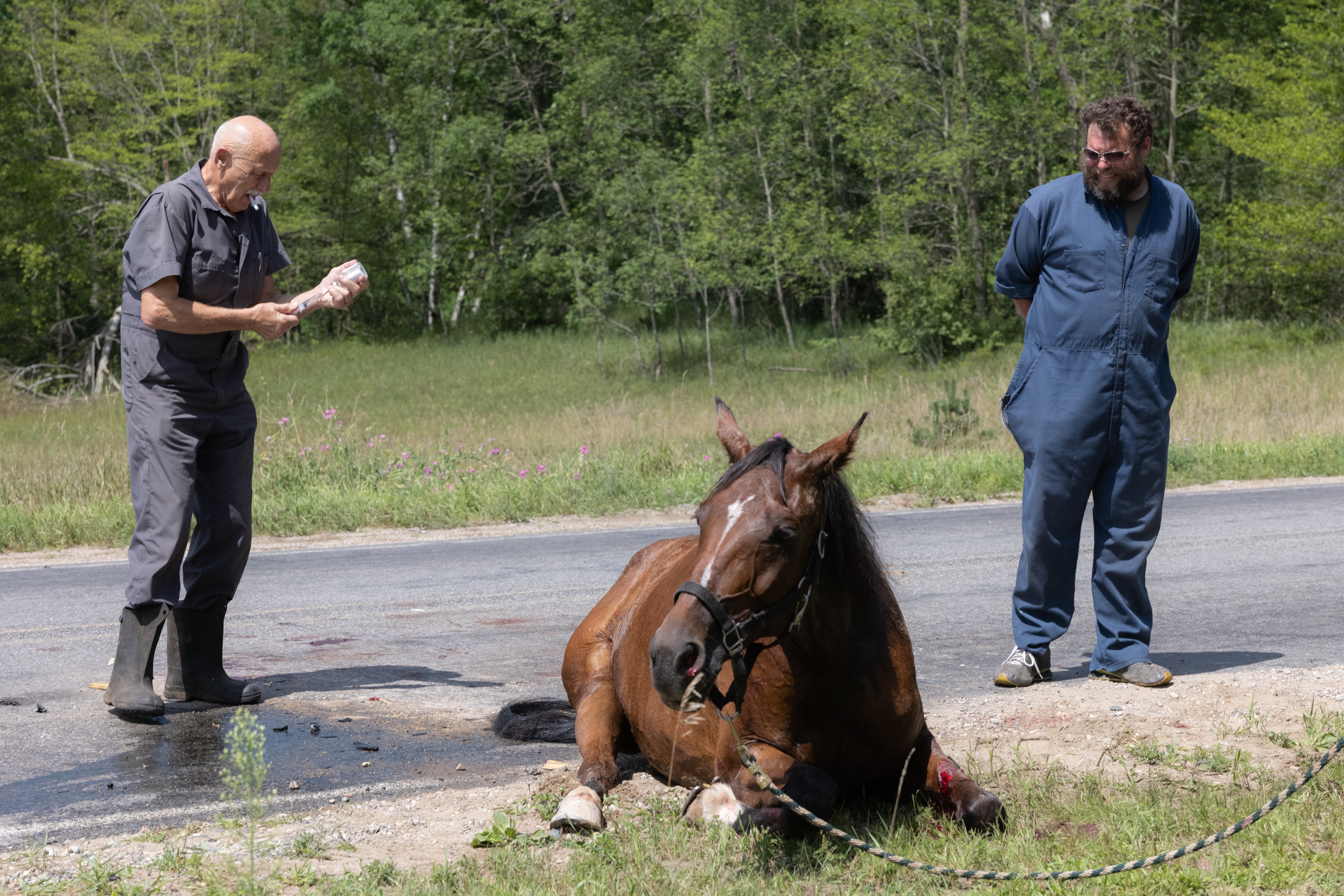 Incredible Dr. Pol (1).jpg