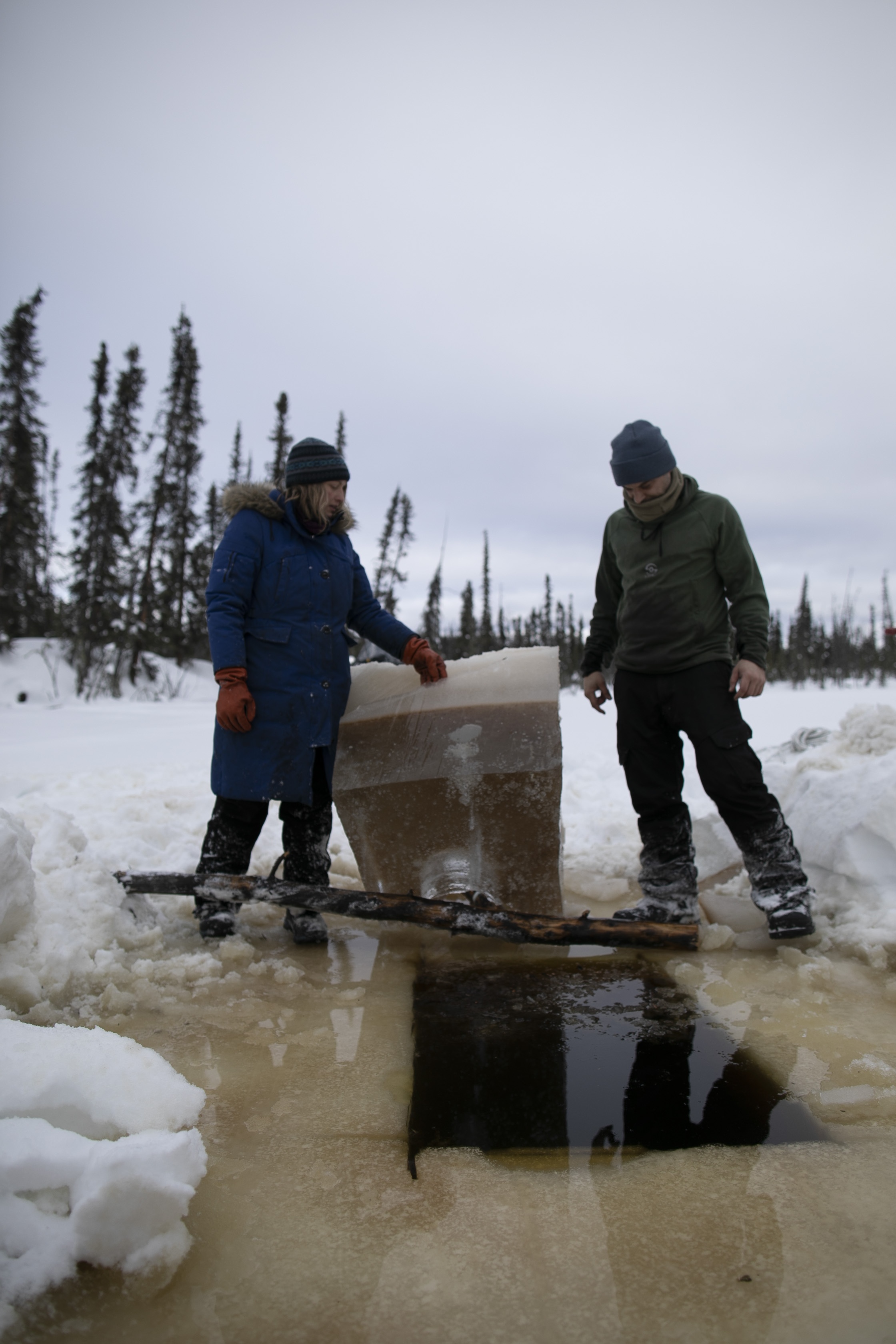 Alaska  Nouvelle vie - Rencontre sauvage (2).JPG