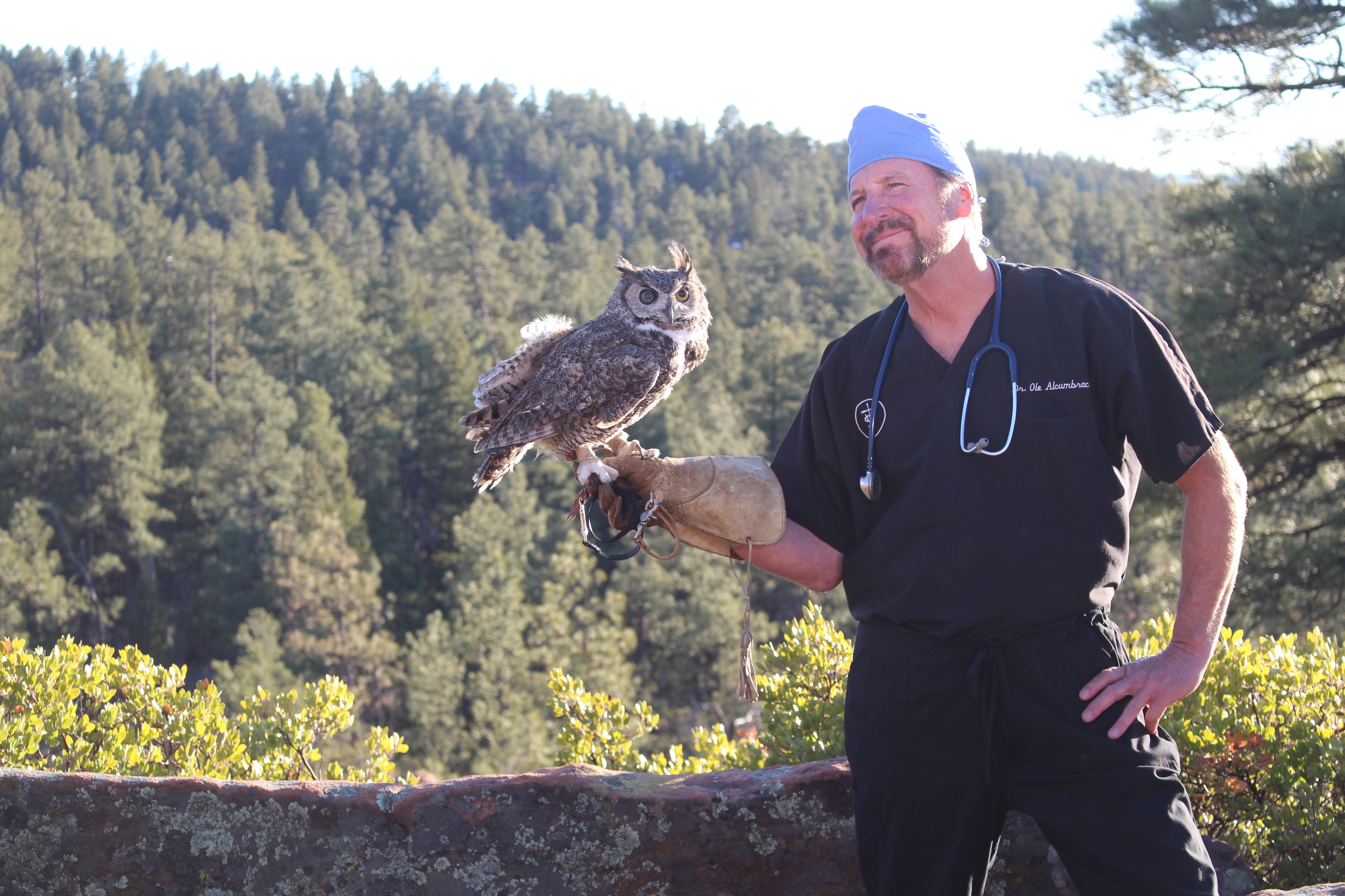 Dr Ole  Toundra, dents et talons (2).jpg