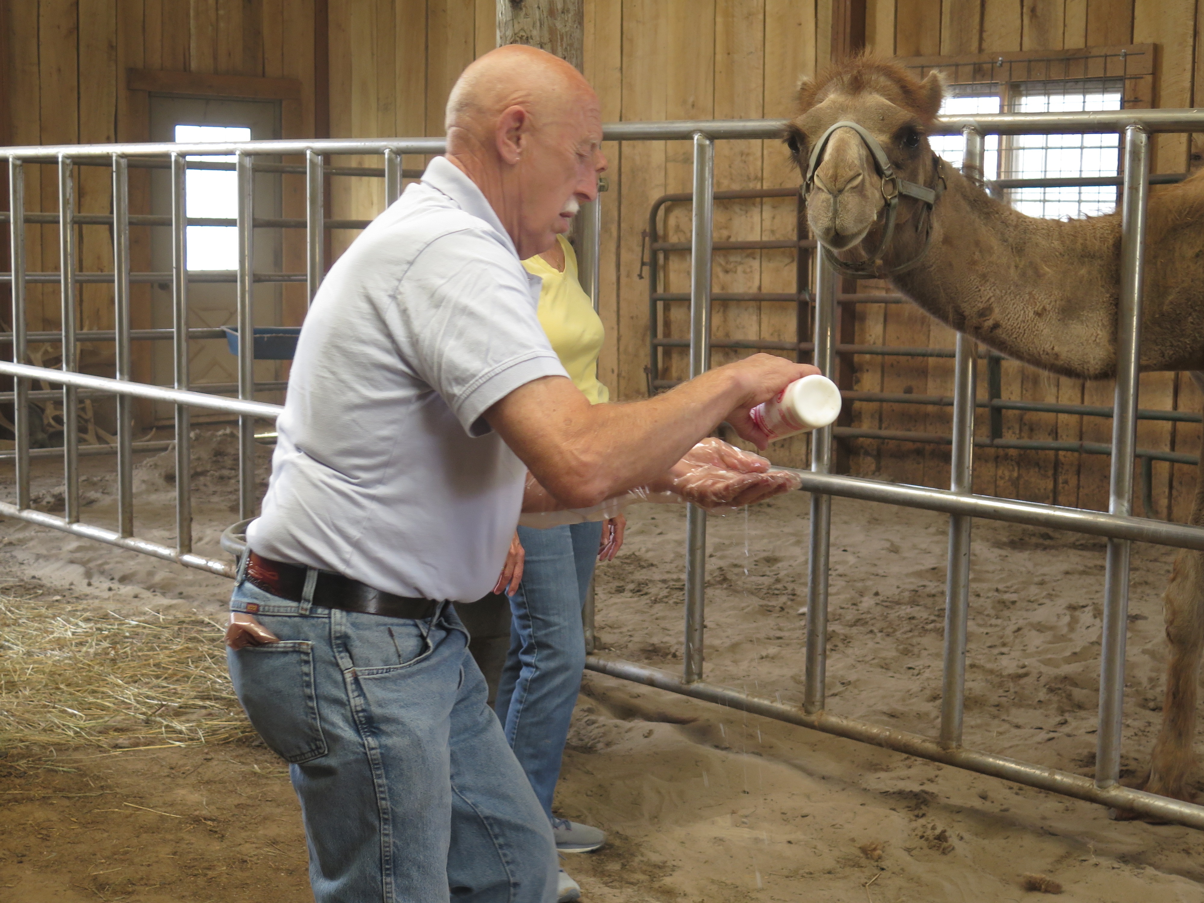 Incredible Dr. Pol Un jour sans fin  (2).jpg