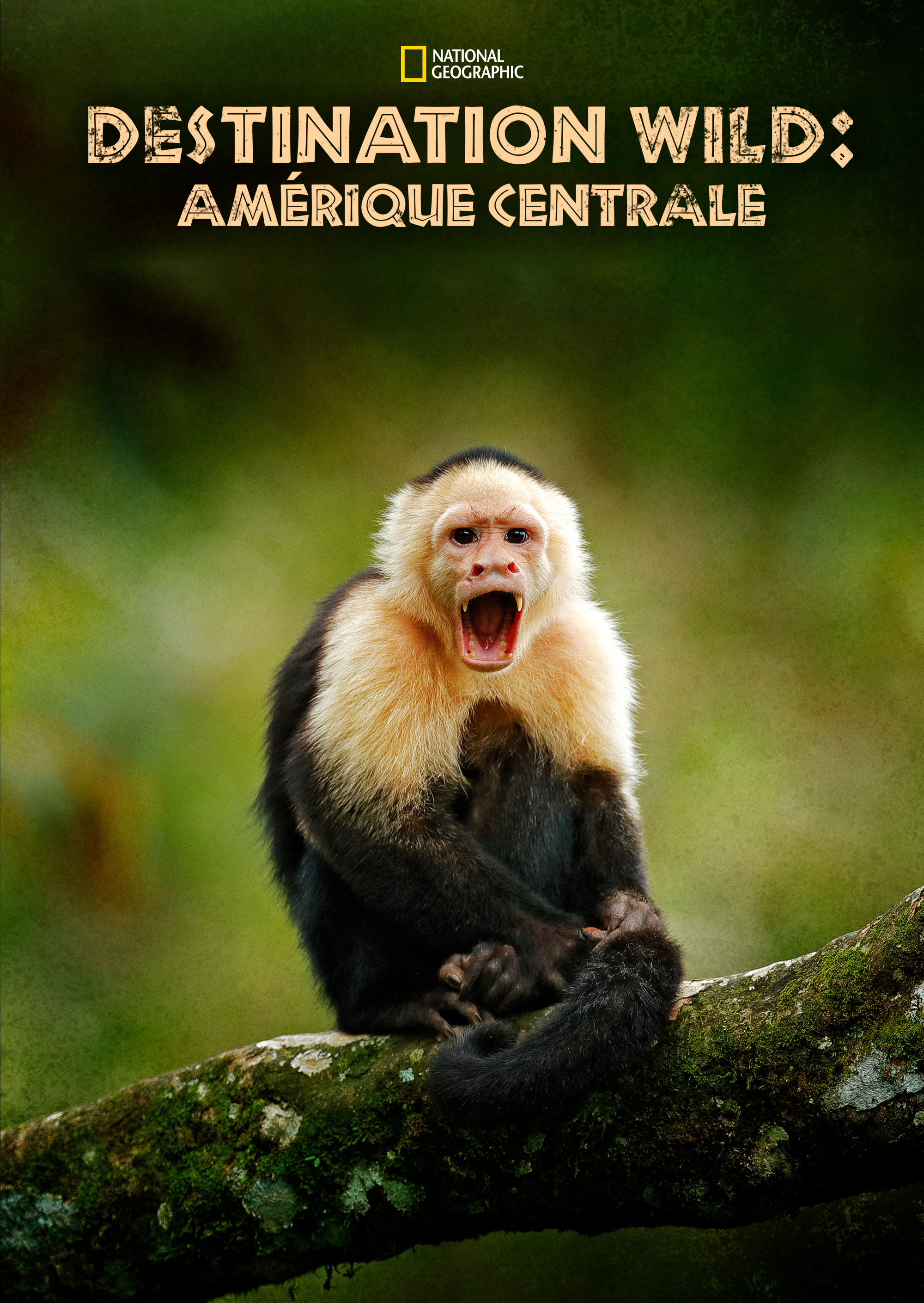 DestinationWild.png