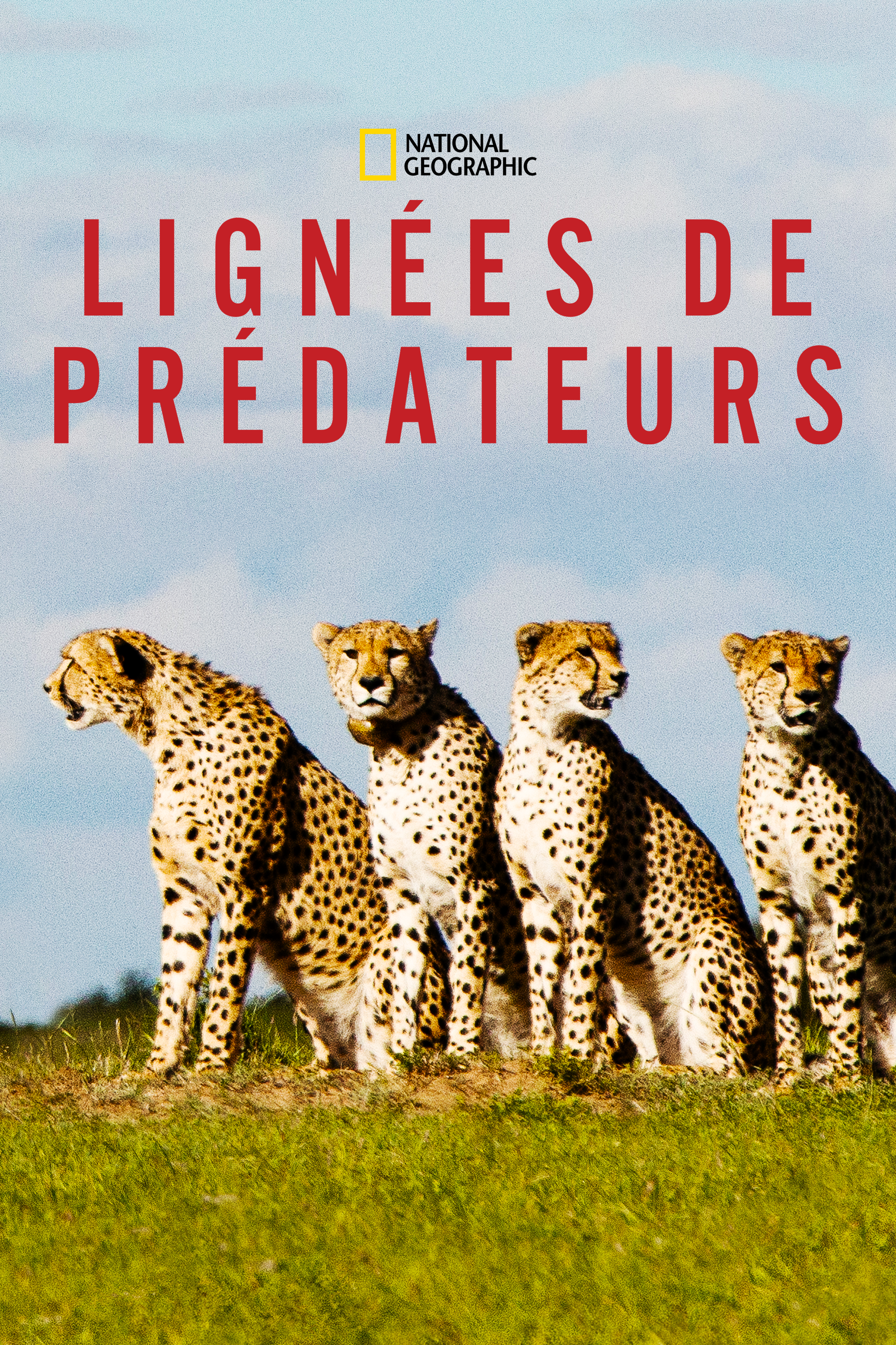 LigneesDePredateurs.png