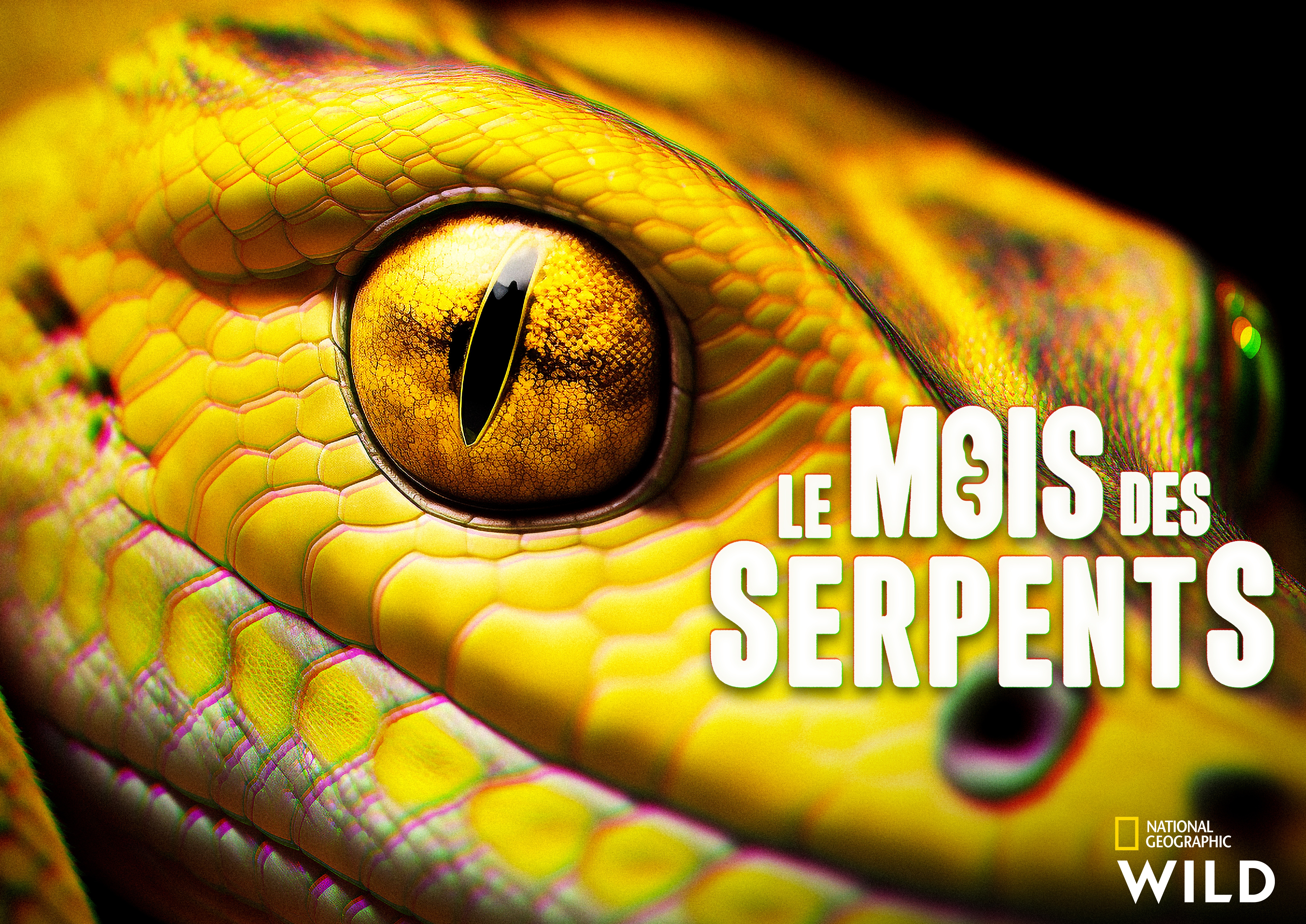 Le mois des serpents