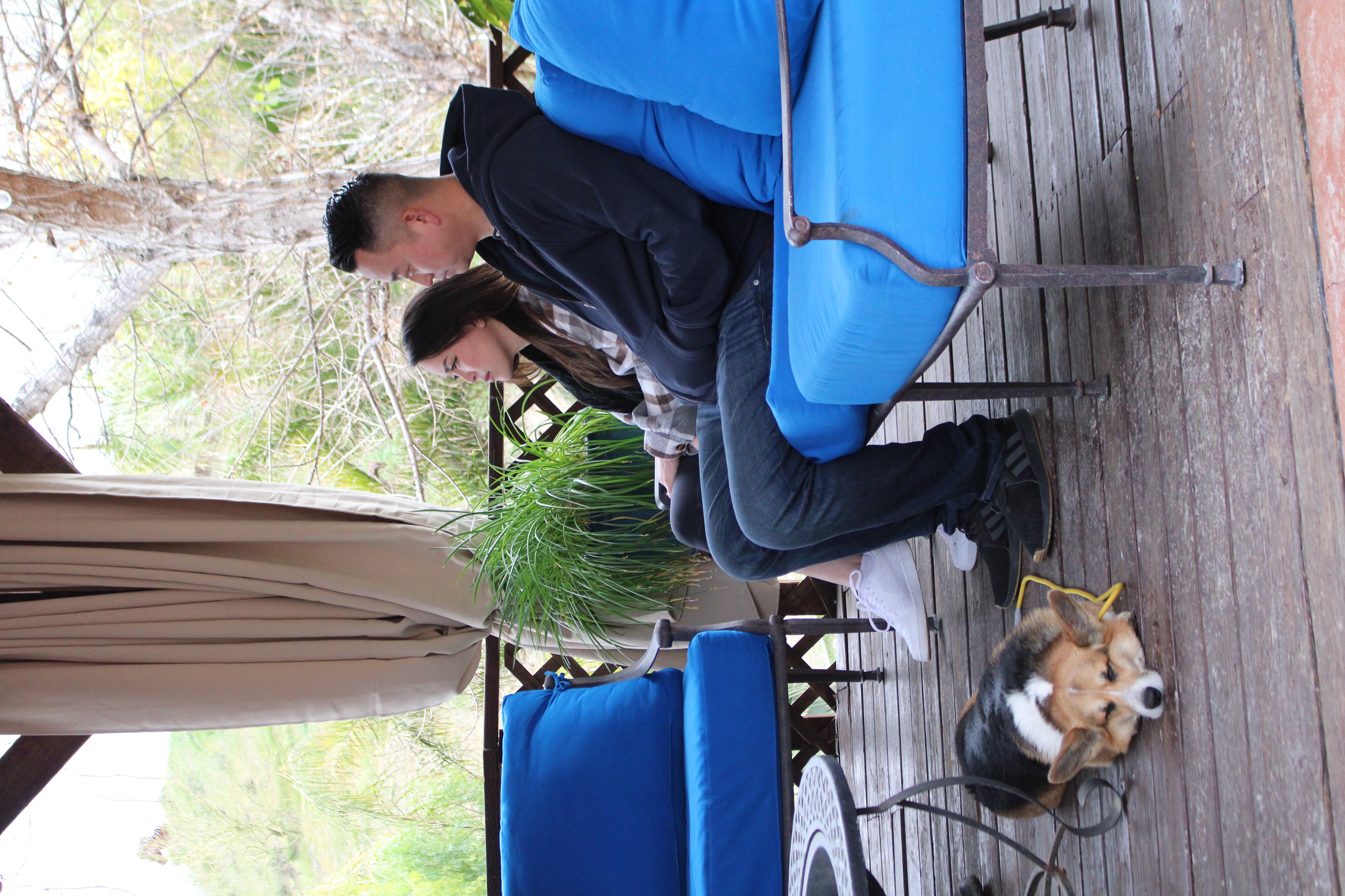 Cesar Millan  Tel maître, tel chien - Petit, mais costaud (1).jpg