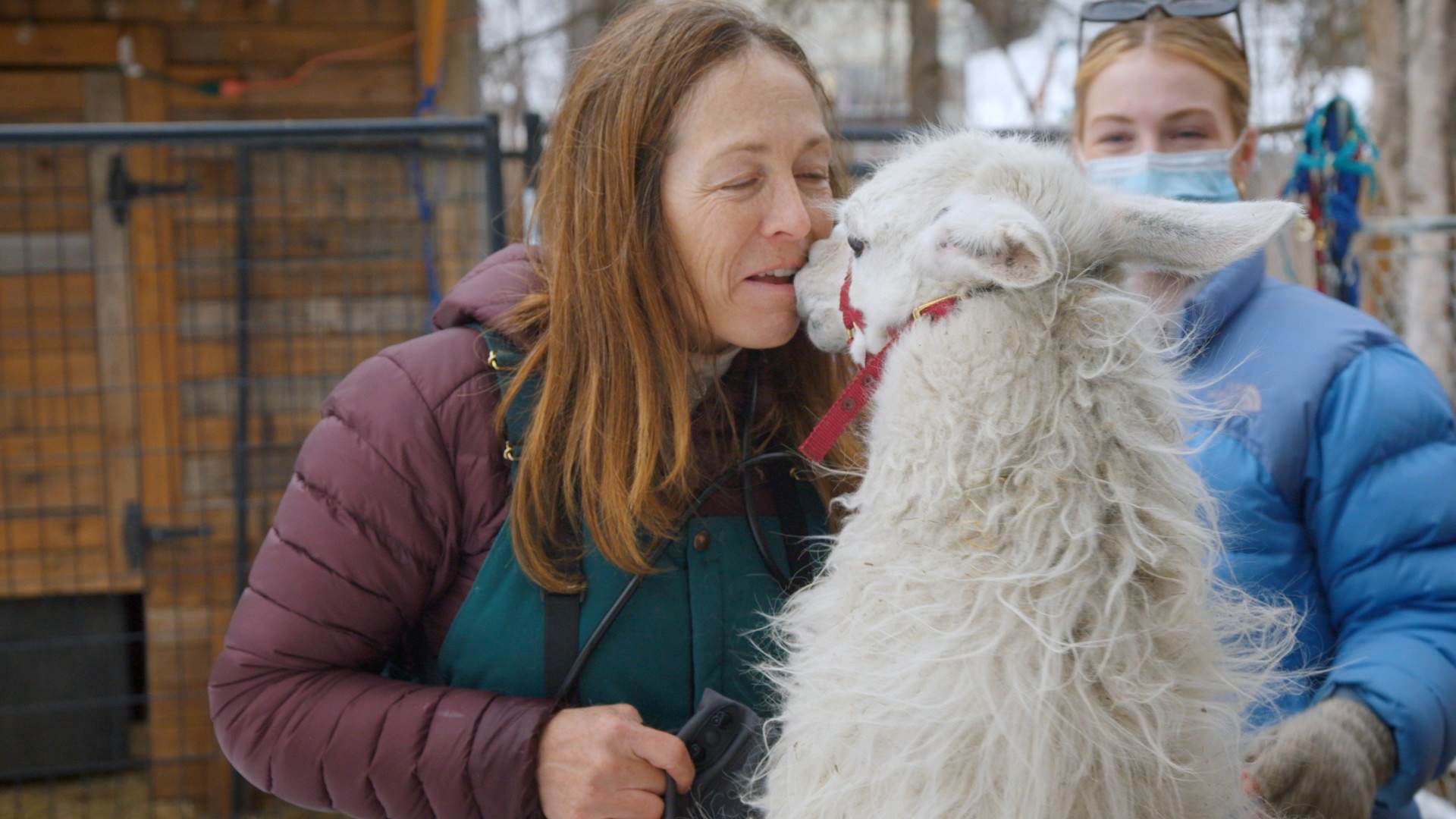 Michelle ou la vie sauvage  Casano-ouaf (2).jpg
