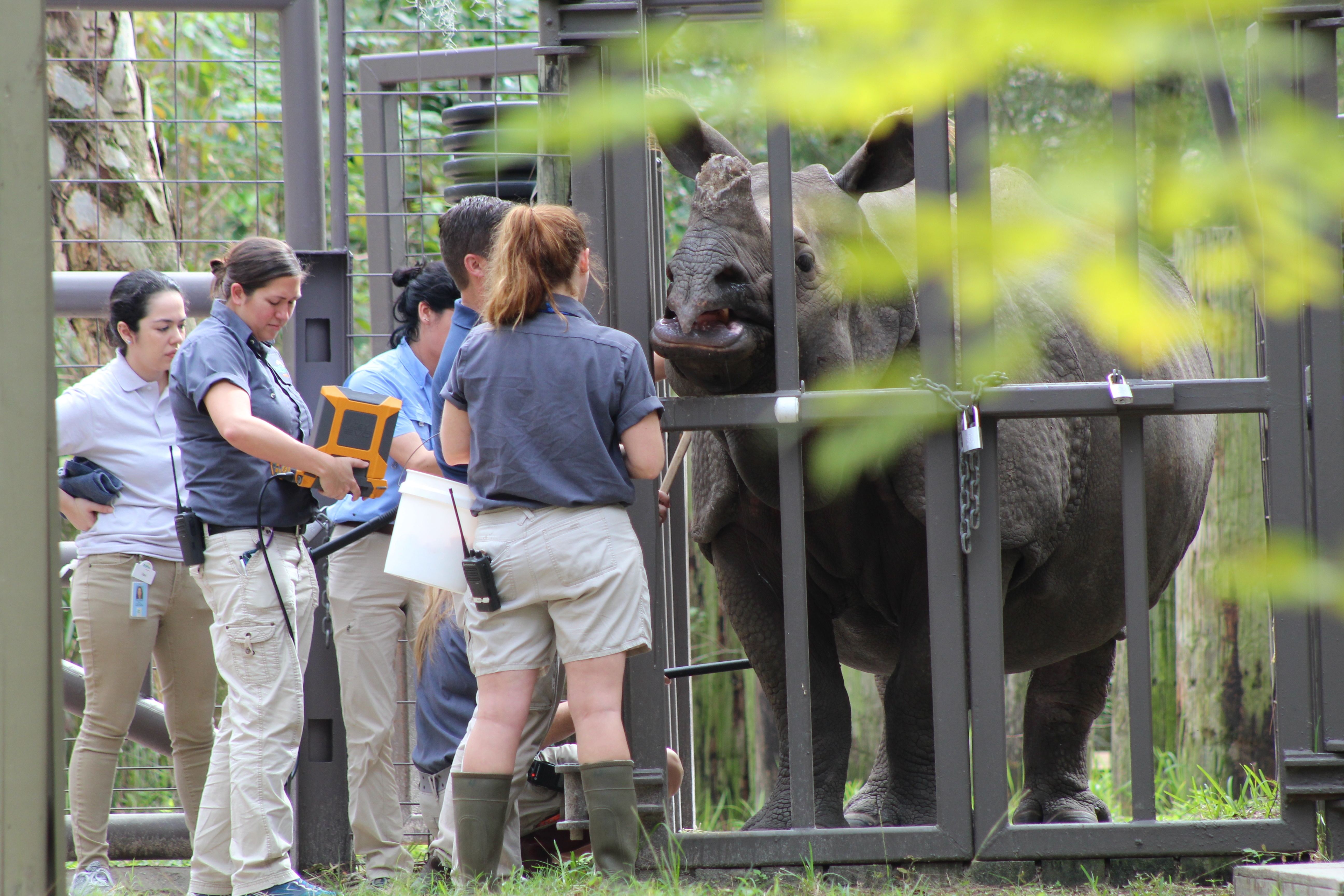 ZOO TAMPA Pourquoi est-elle si mêêê-chante  (1).jpg