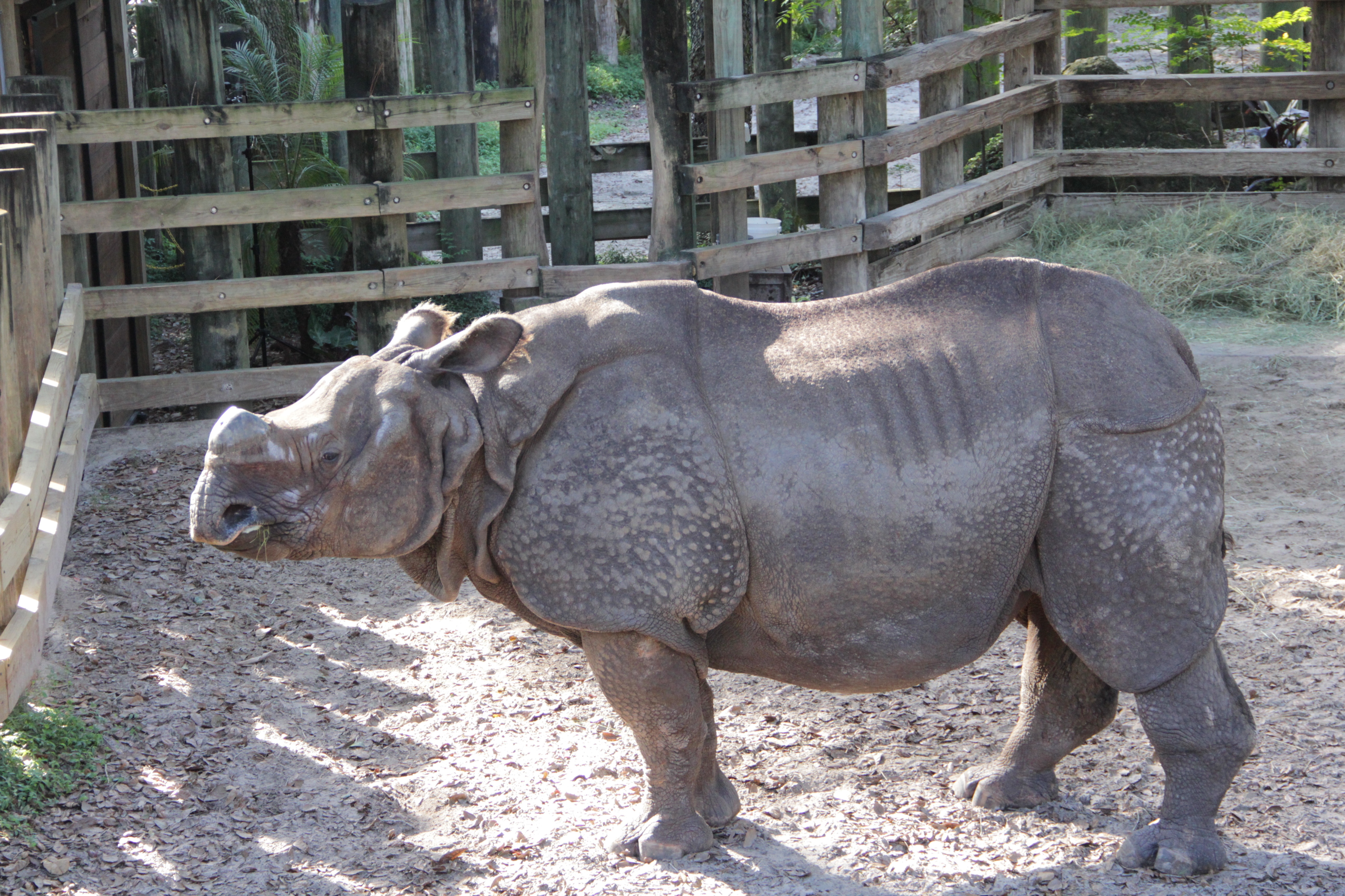 ZOO TAMPA Pourquoi est-elle si mêêê-chante  (3).jpg