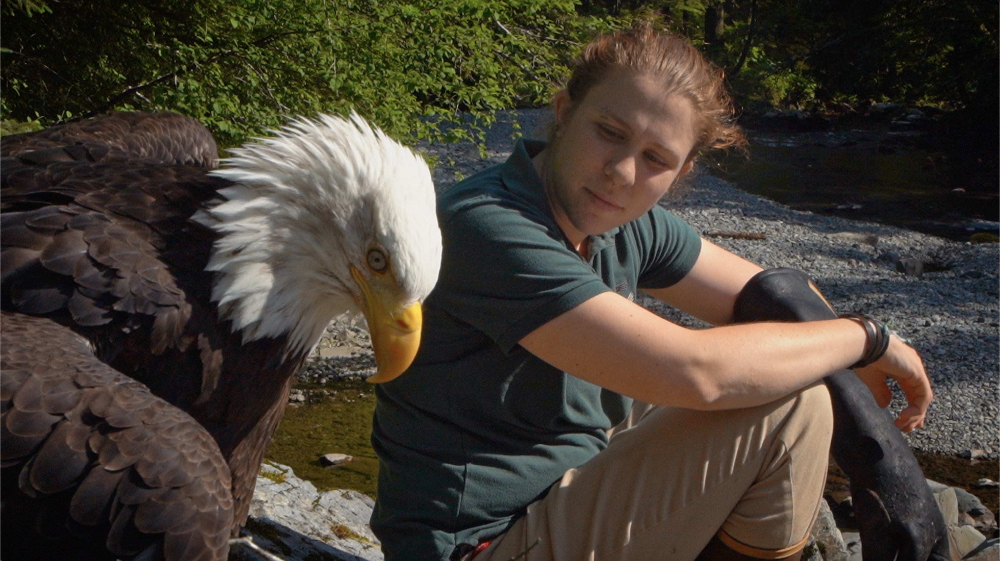 SOS Animaux Alaska (1).png