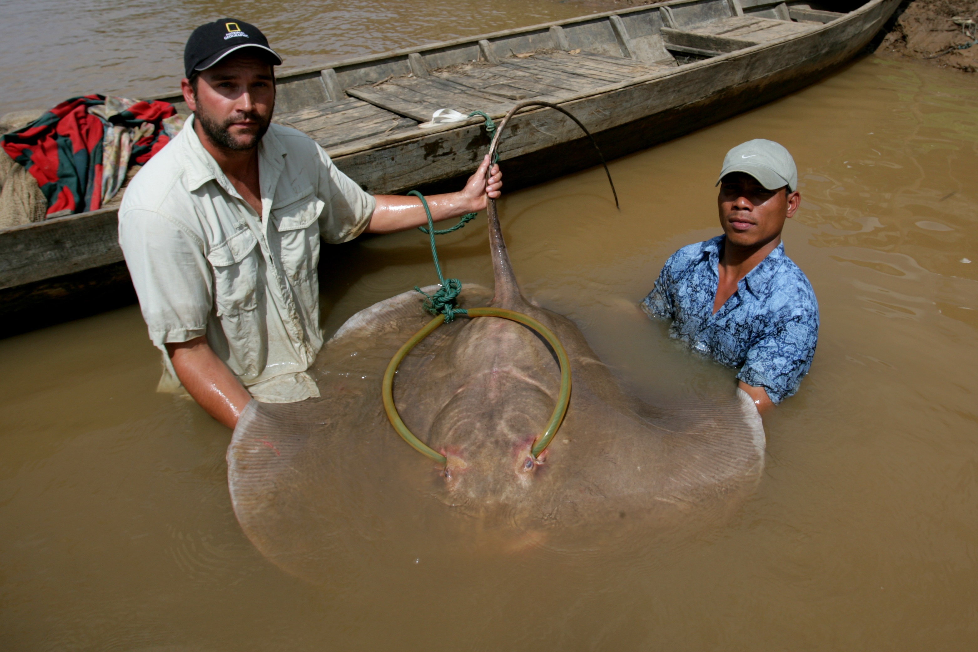 Bêtes de poissons - Les dents de la rivière (3).JPG