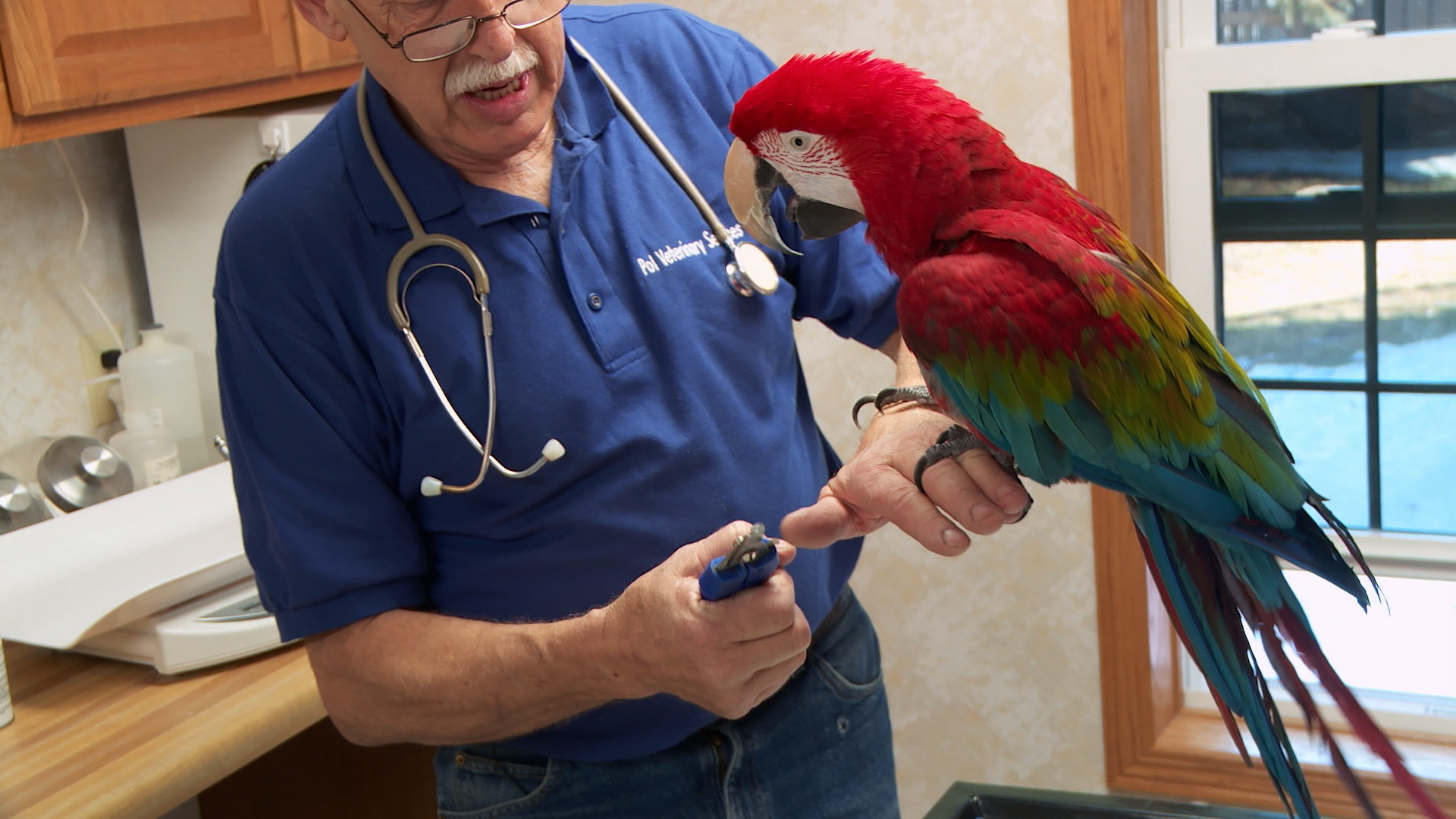 The Incredible Dr. Pol (4).jpg