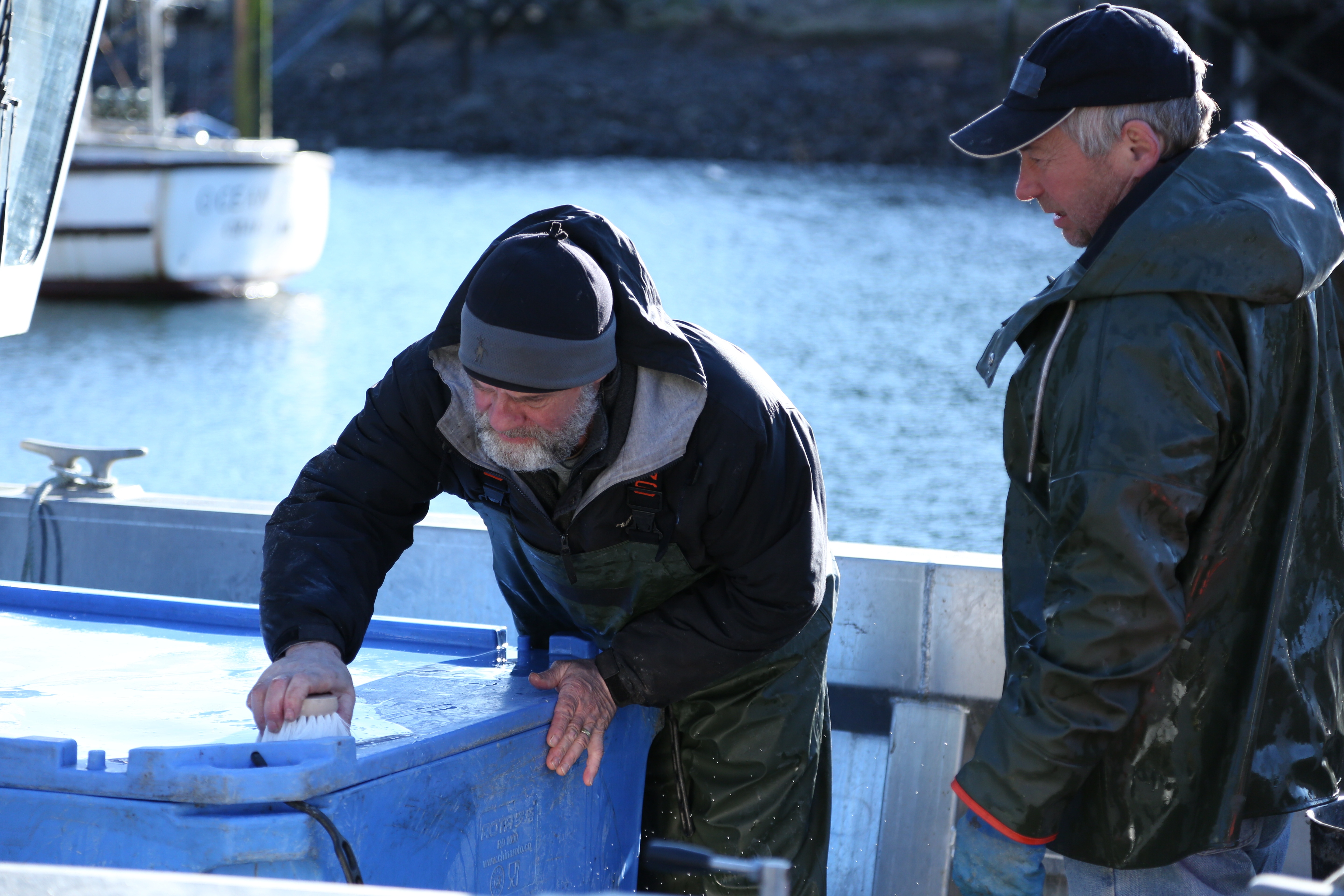 Alaska  seuls au monde - Roi des ours (1).jpg