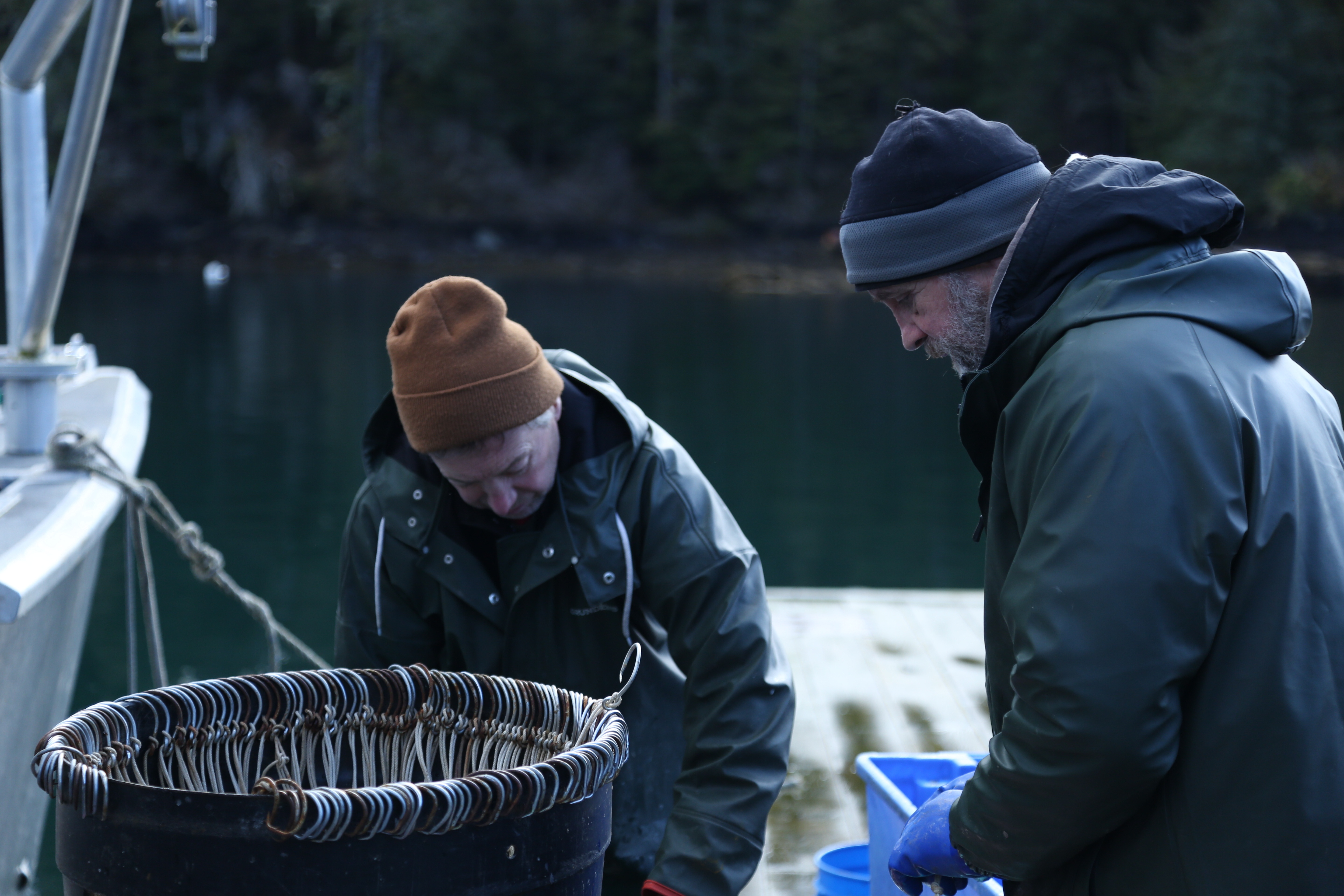 Alaska  seuls au monde - Roi des ours (2).jpg