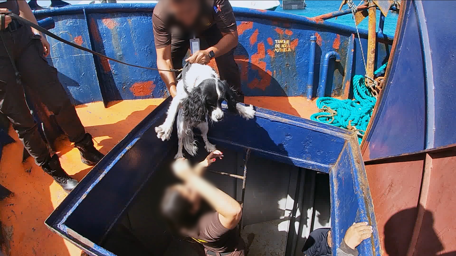 Caraïbes côtes sous surveillance - Homme à la mer (3).JPG