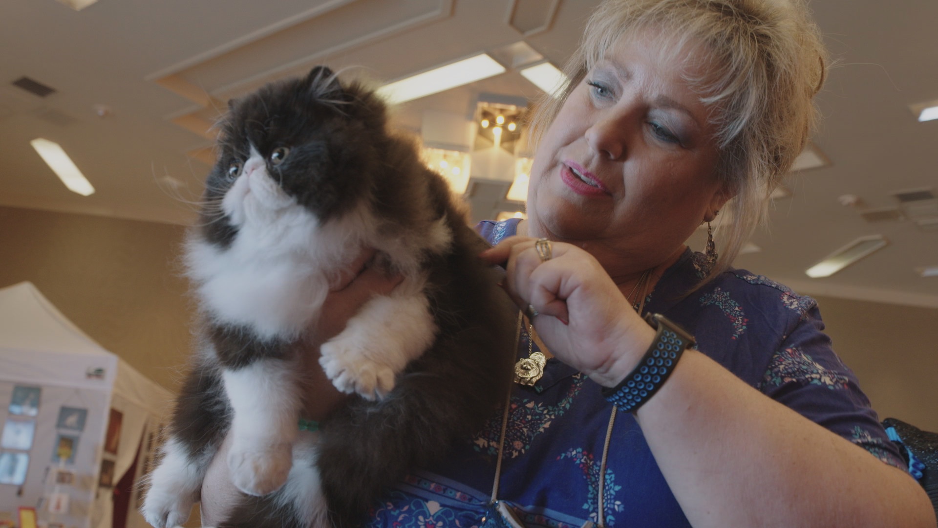 Amour, gloire et pâtées (1).jpg