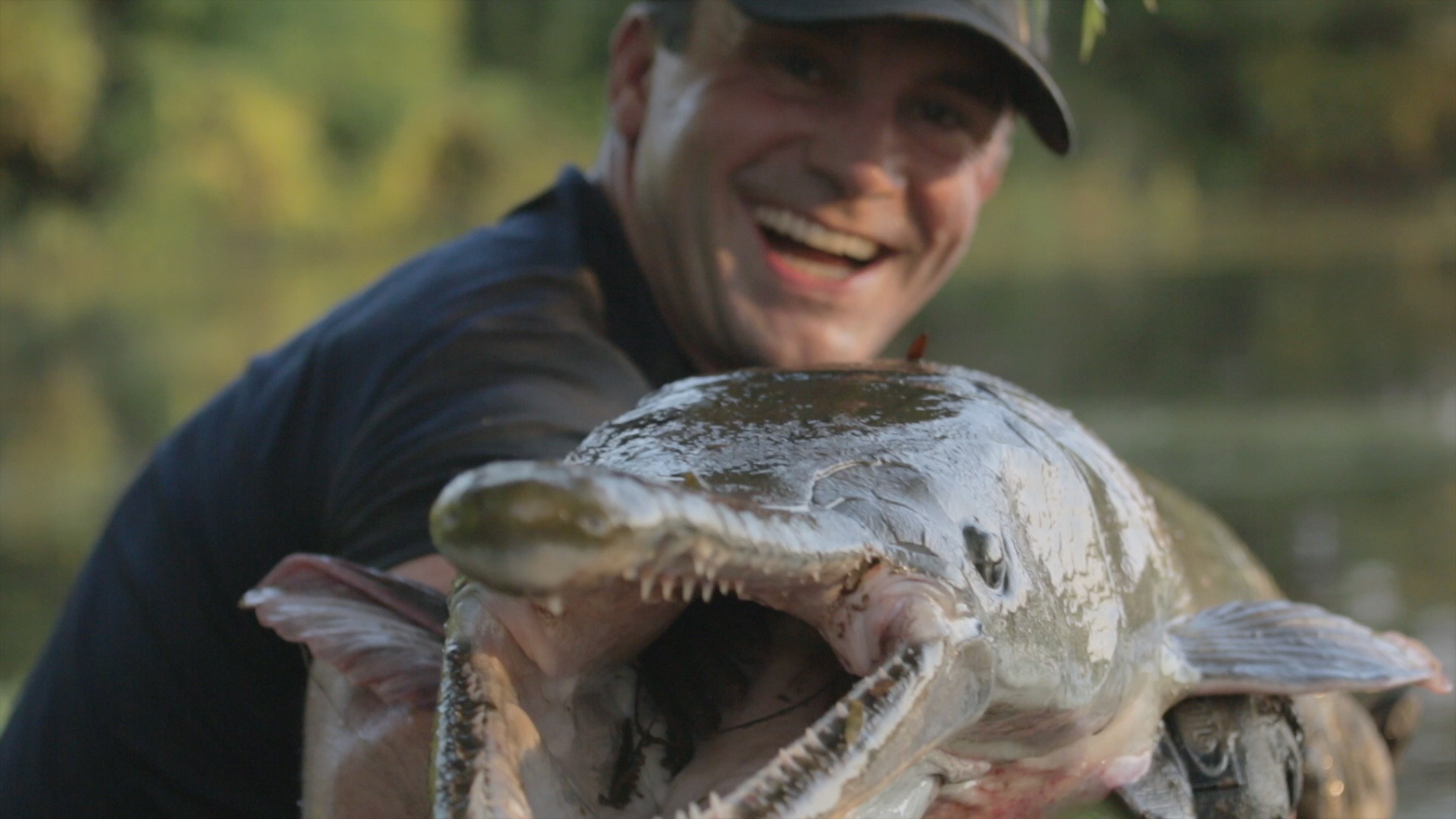 Bêtes de poissons (3).jpg