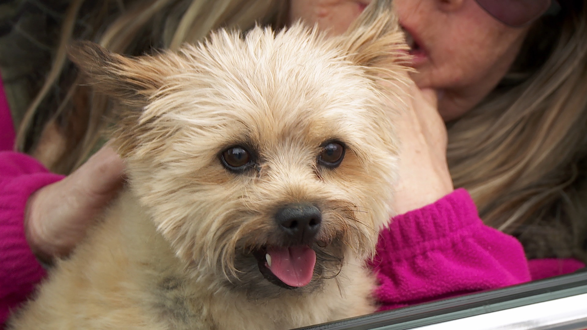 L'incroyable Dr Pol - Nuit et jour (4).JPG