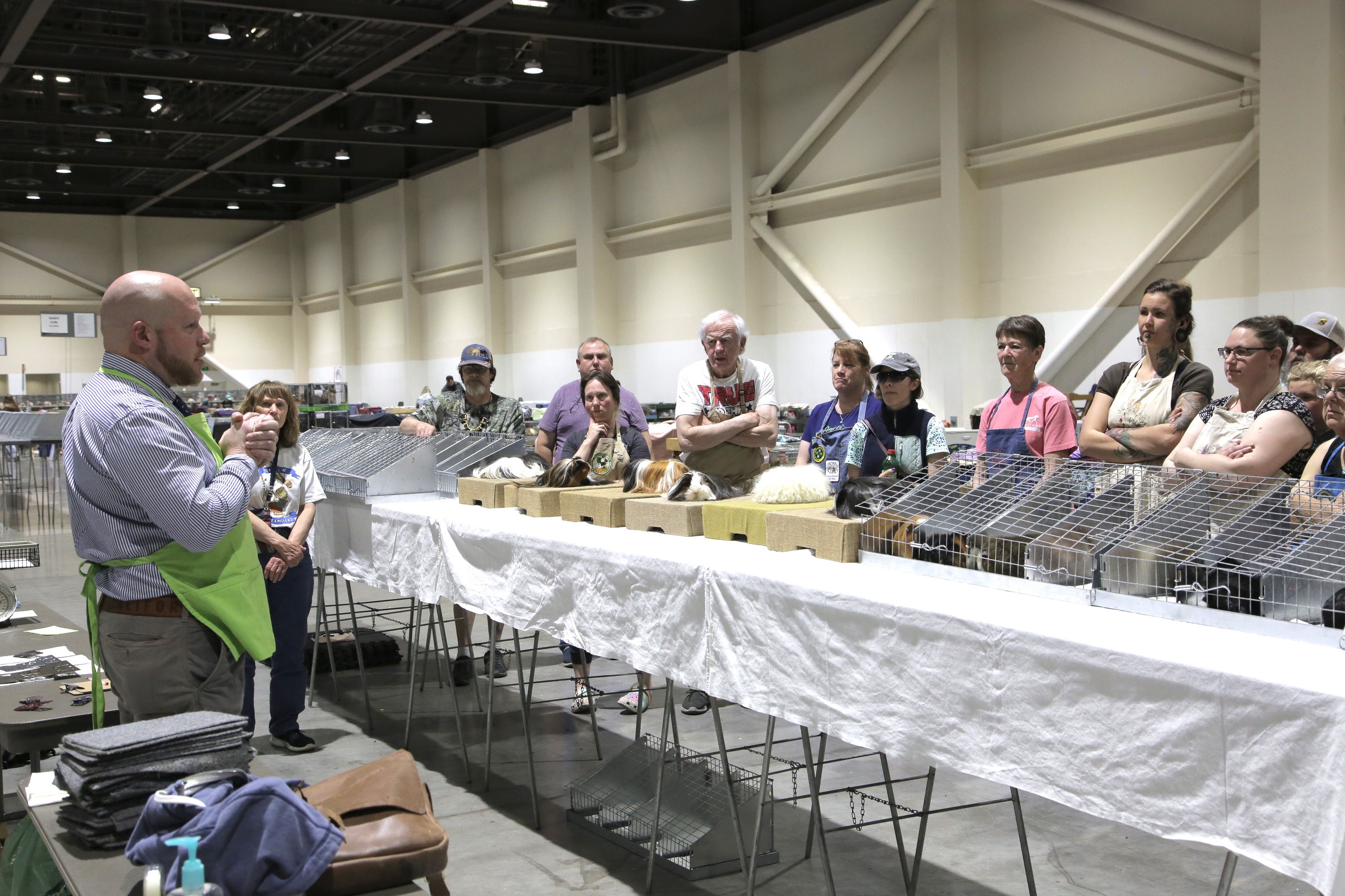 Bêtes de gloire (13).jpg