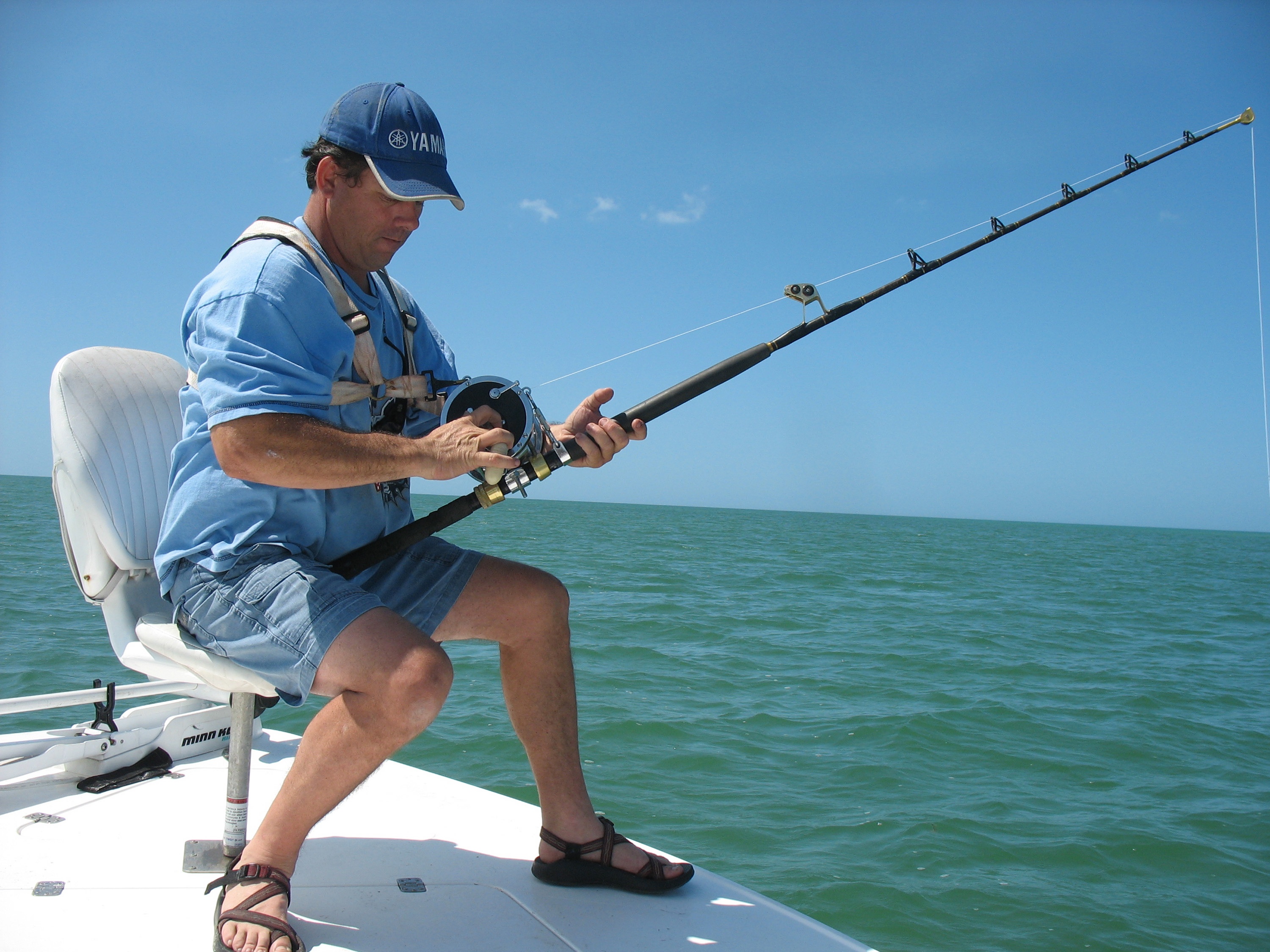 Bêtes de poissons (2).jpg