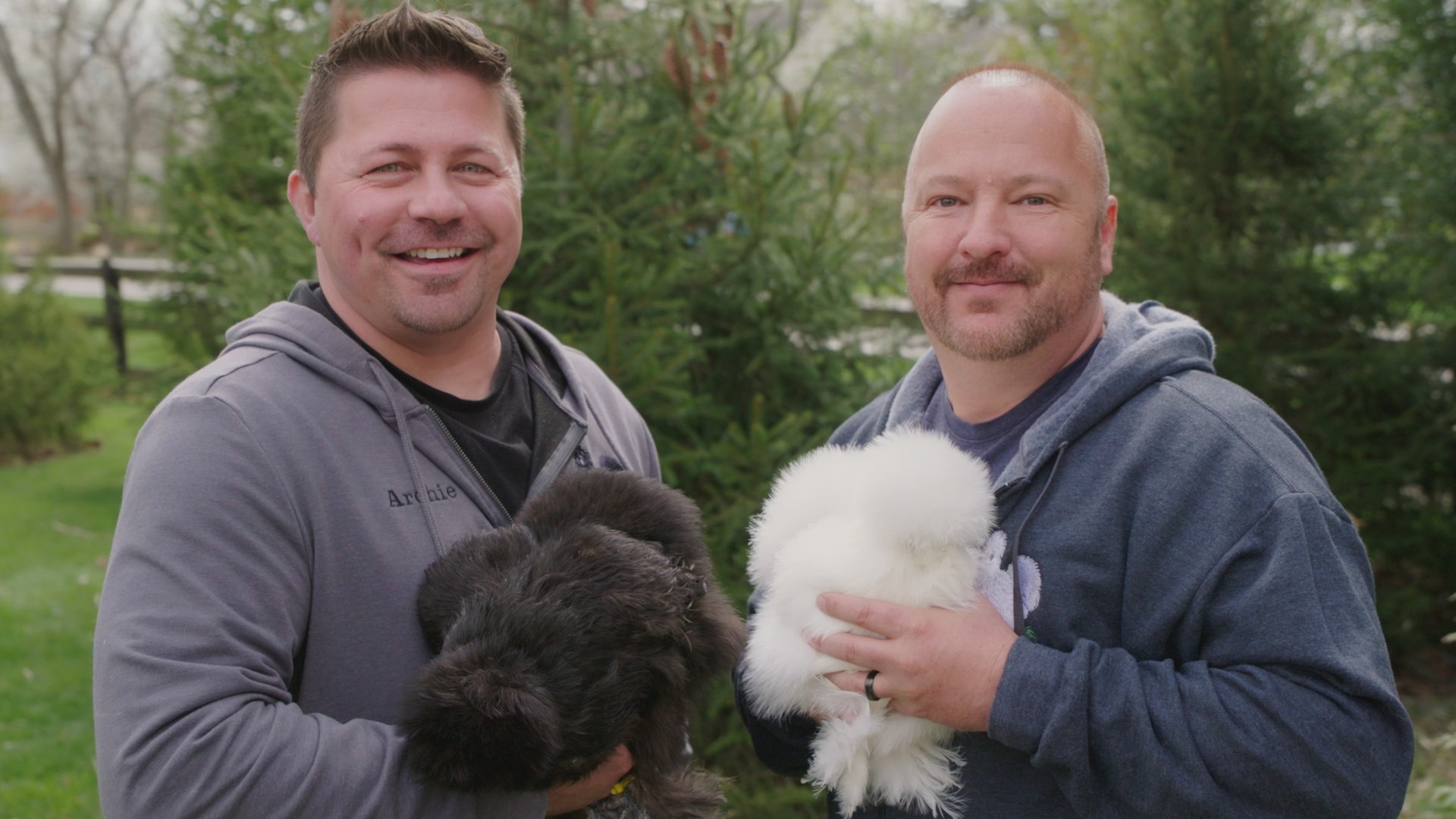 Volailles en pagaille (3).jpg