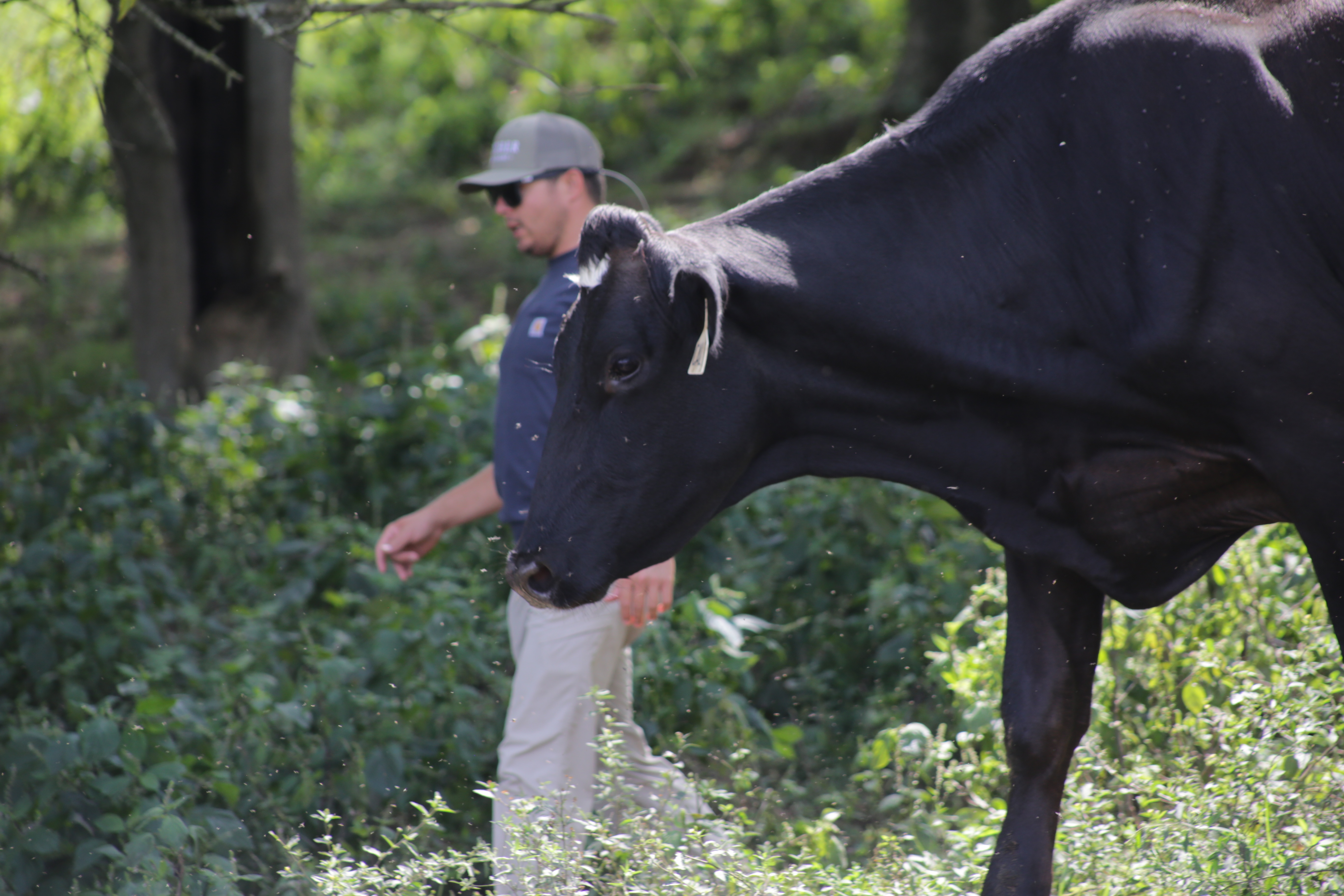 TheHatcherFamilyDairy_Udderly Challenging(3).jpg