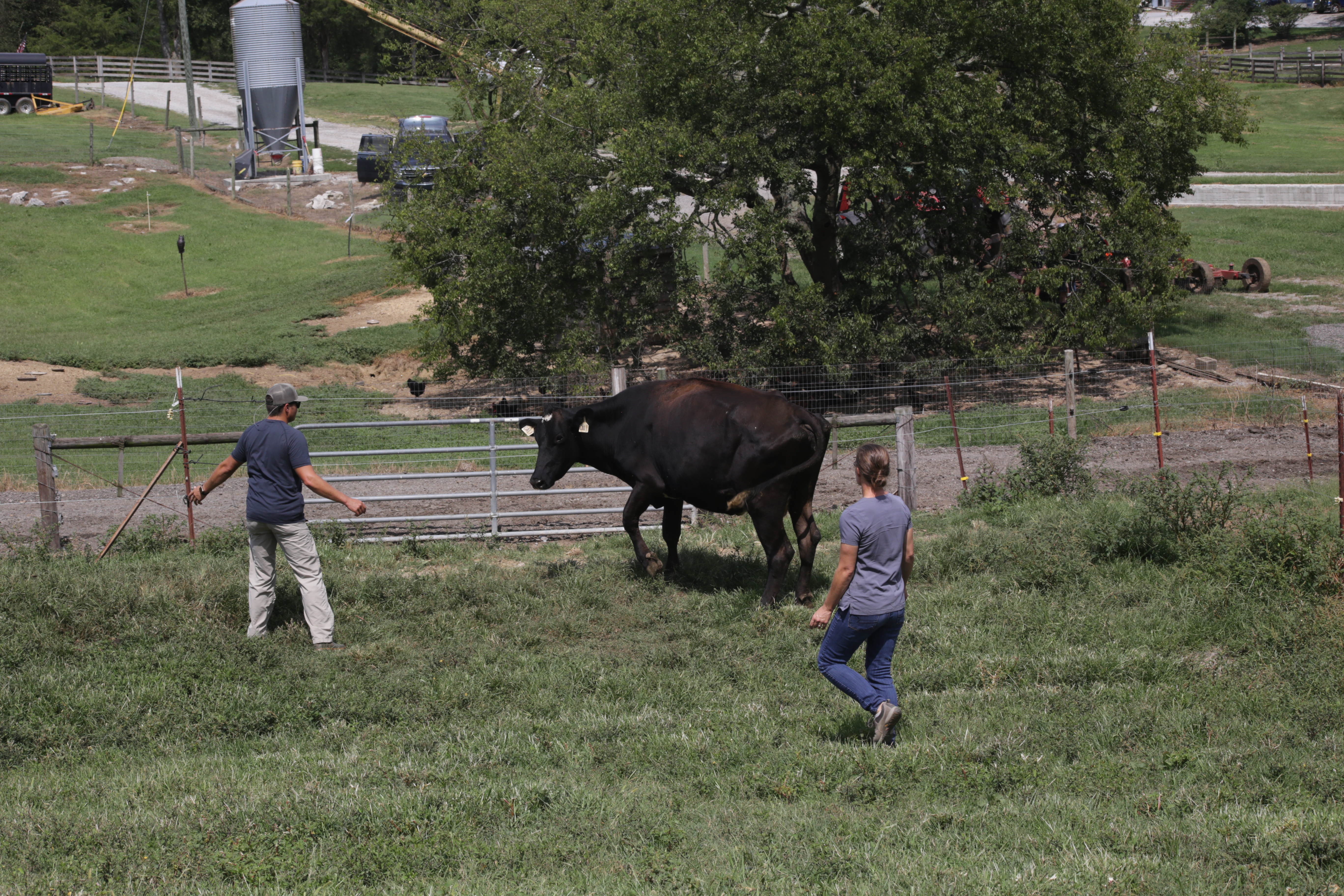 TheHatcherFamilyDairy_Udderly Challenging(1).jpg