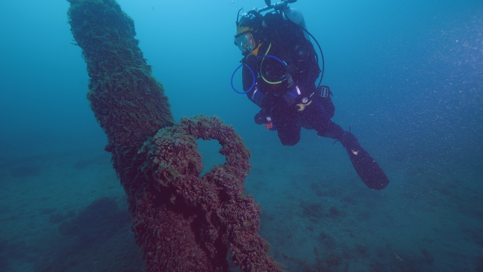 Drain the Oceans (3).jpg