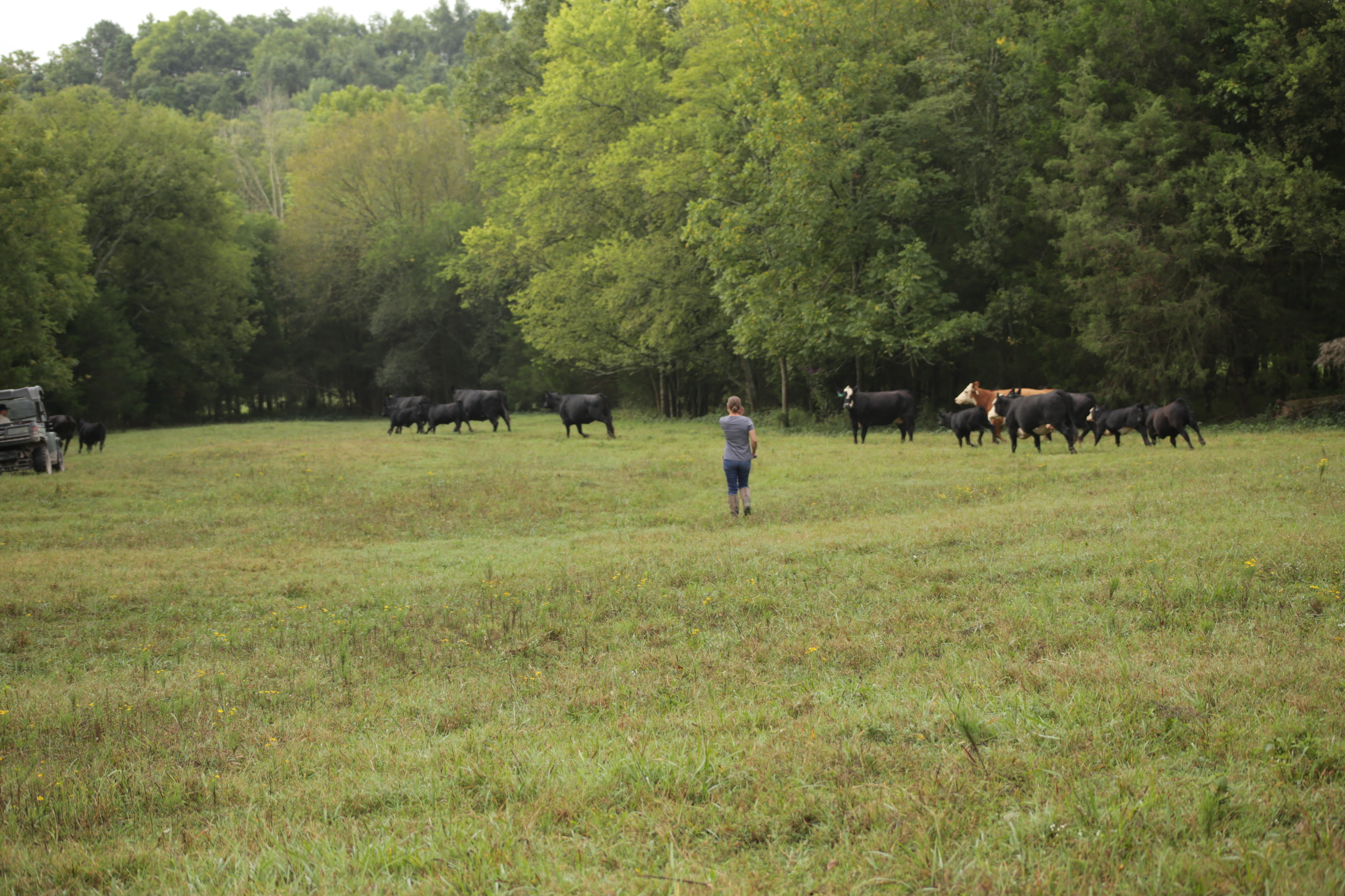 The Hatcher Family Dairy_Un air de famille  (2).jpg