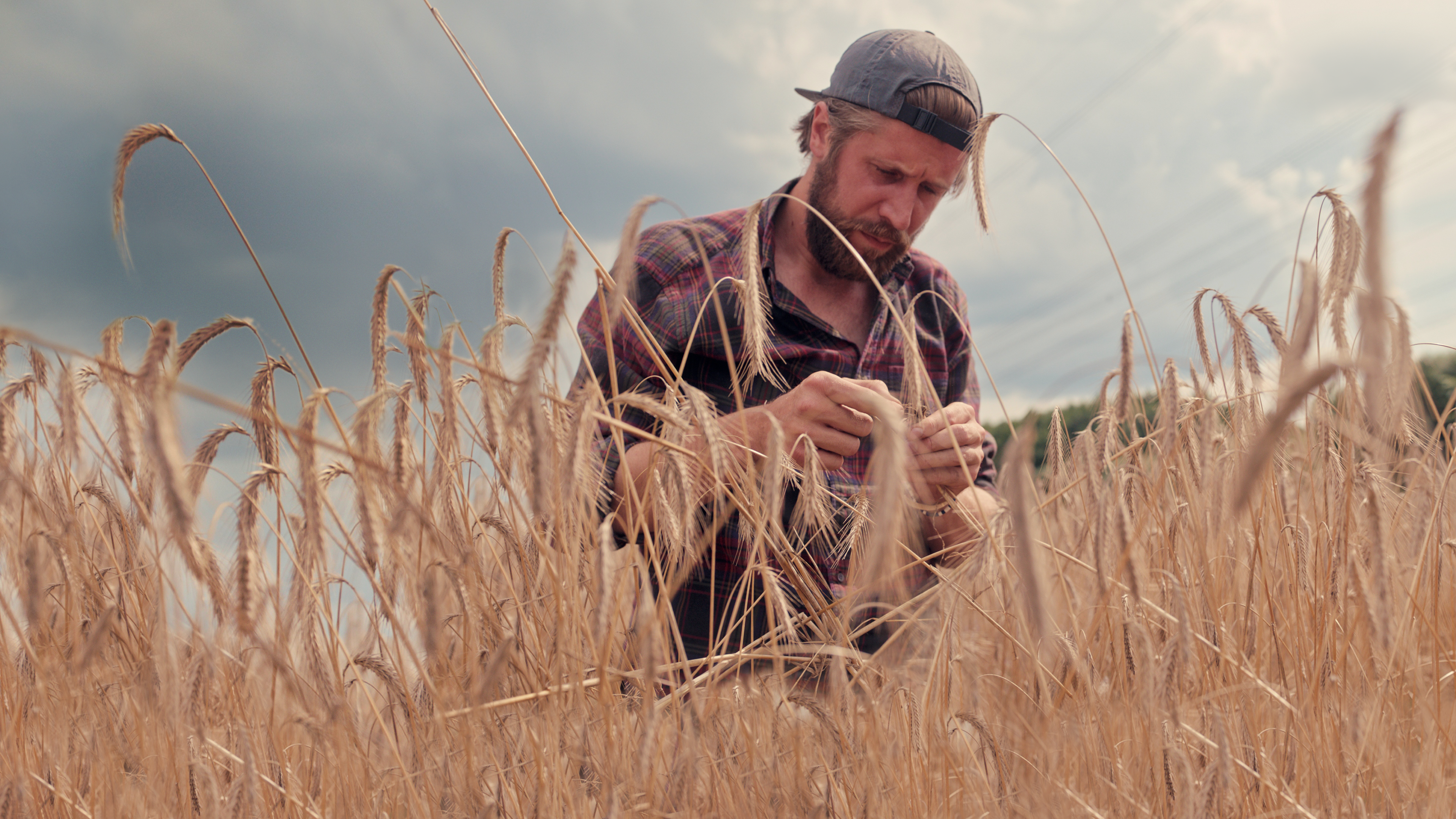 La révolte agricole (1).png