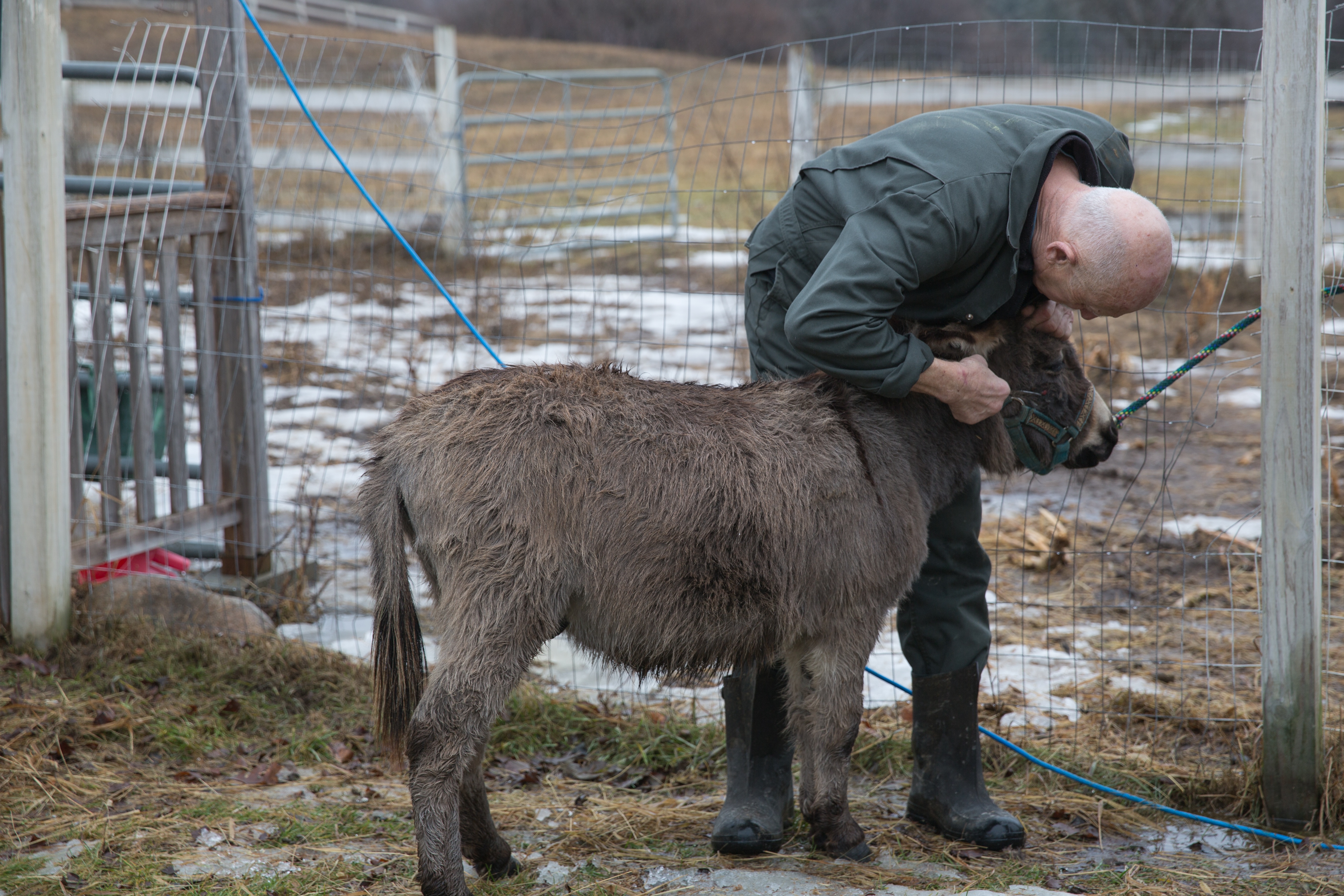 FrostyPolMan_IncredibleDrPol_Ep709_08_b8d5a719f023d2ed7bef0302afc08e0b63c54d1a-61452c50523c5de4d6a163b3.jpg