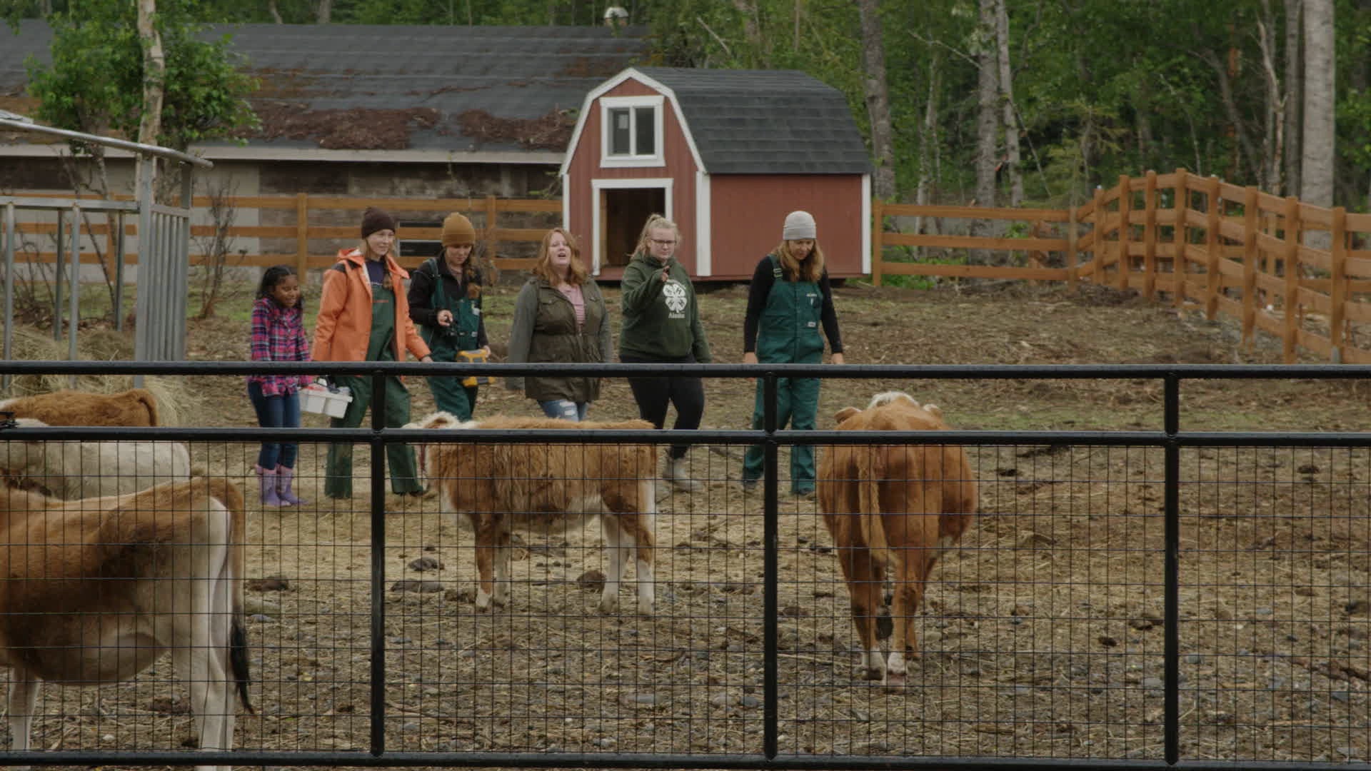 DrOakleyYukonVet_Cache-vache (2).jpg