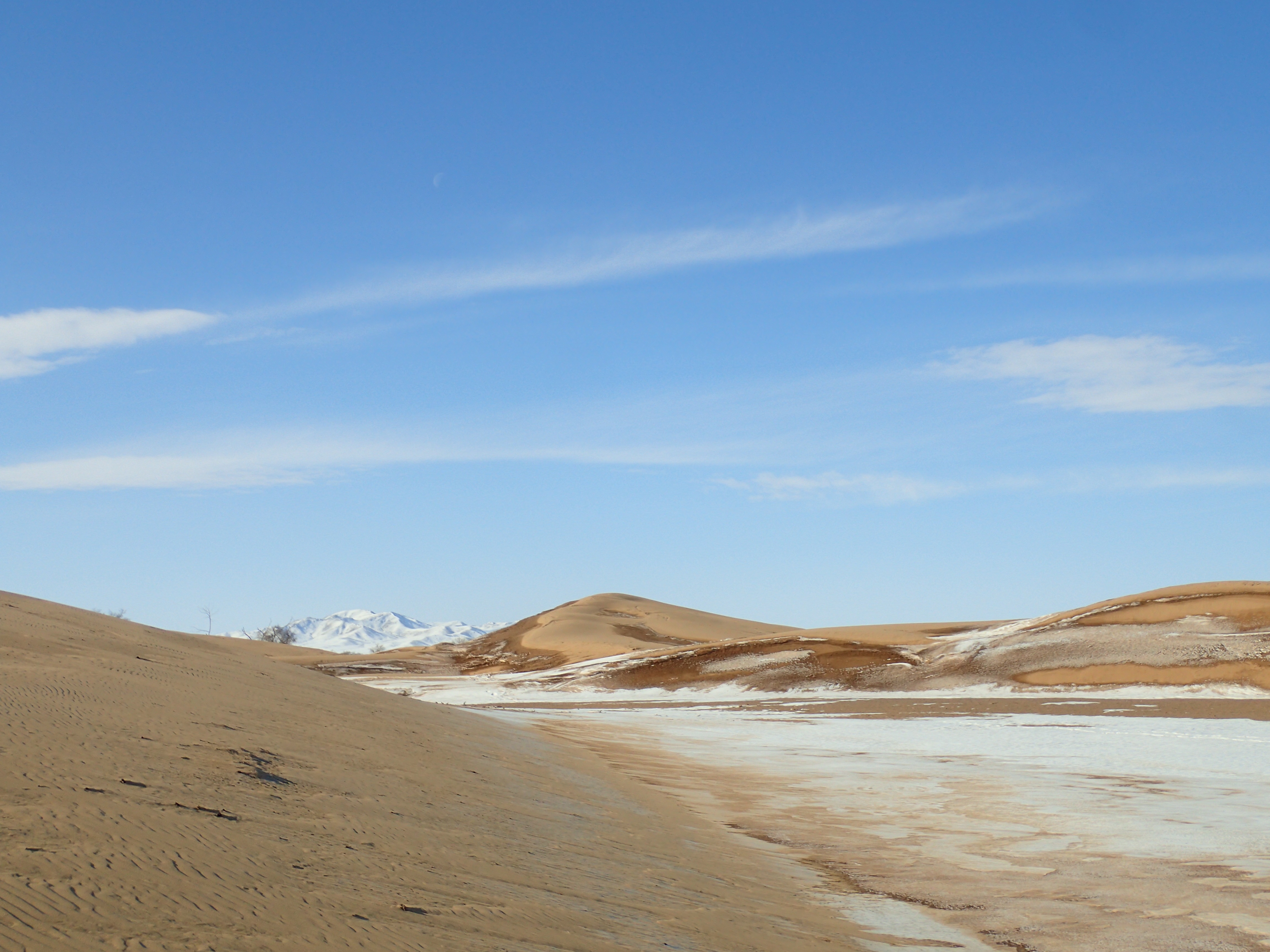 Destination Wild Mongolie  Les survivants du désert (2).jpg