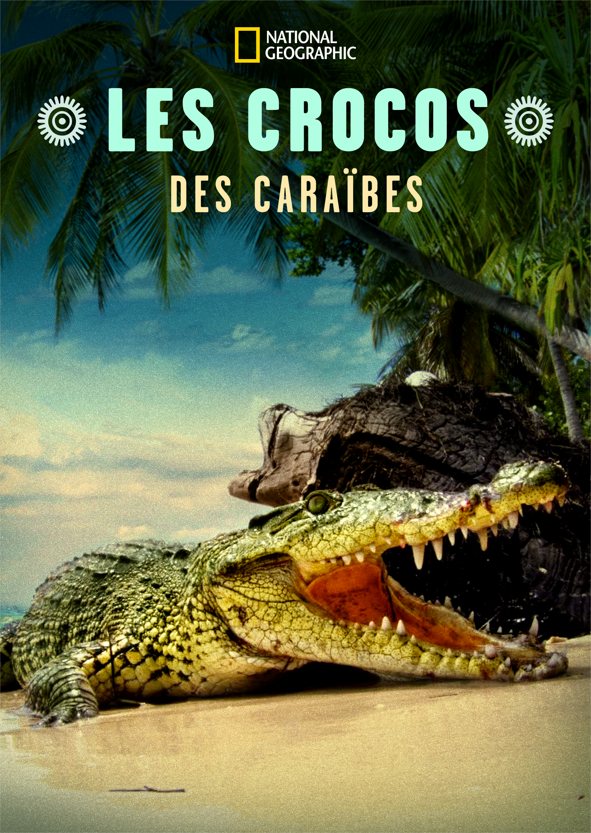 Les crocos des Caraïbes KA.png