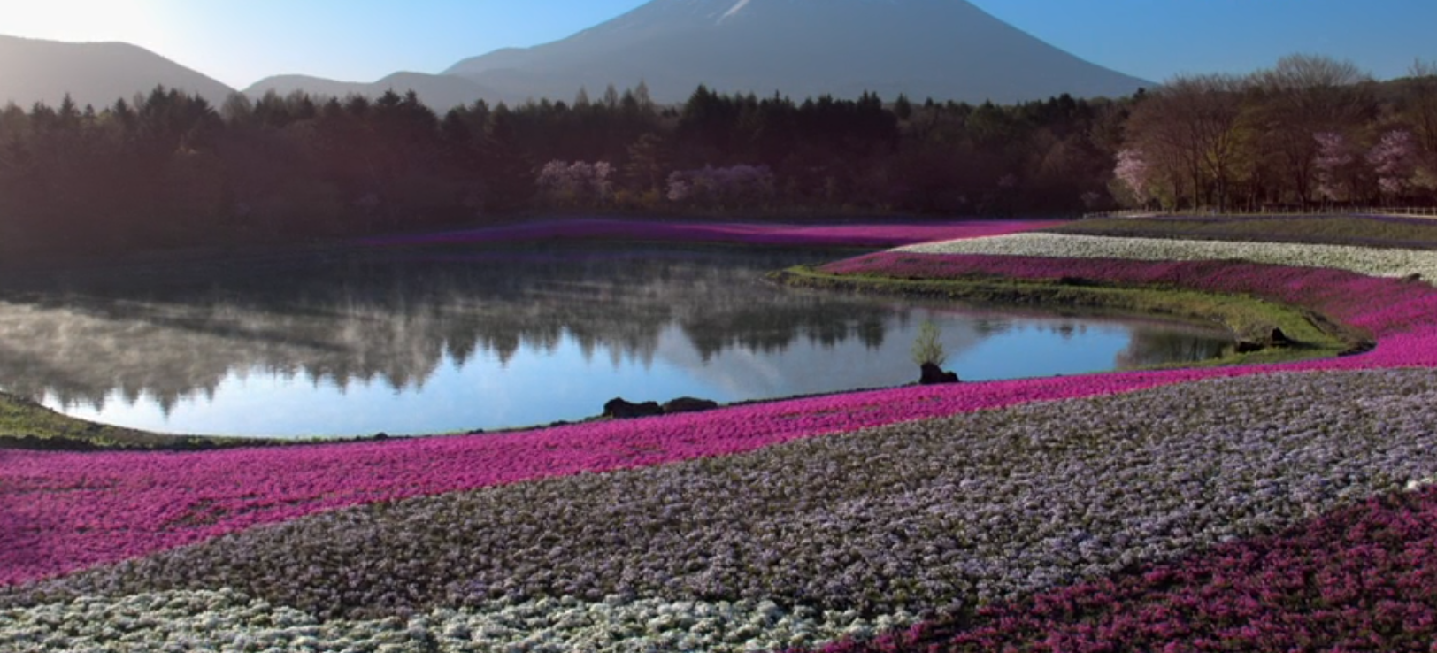 Le Japon vu du ciel  Le berceau des traditions (3).png