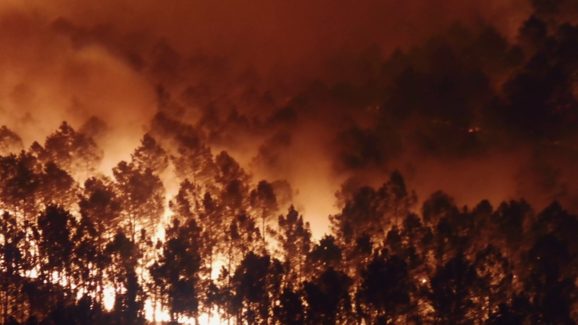La minute de vérité  Éruption à Montserrat (6).jpg