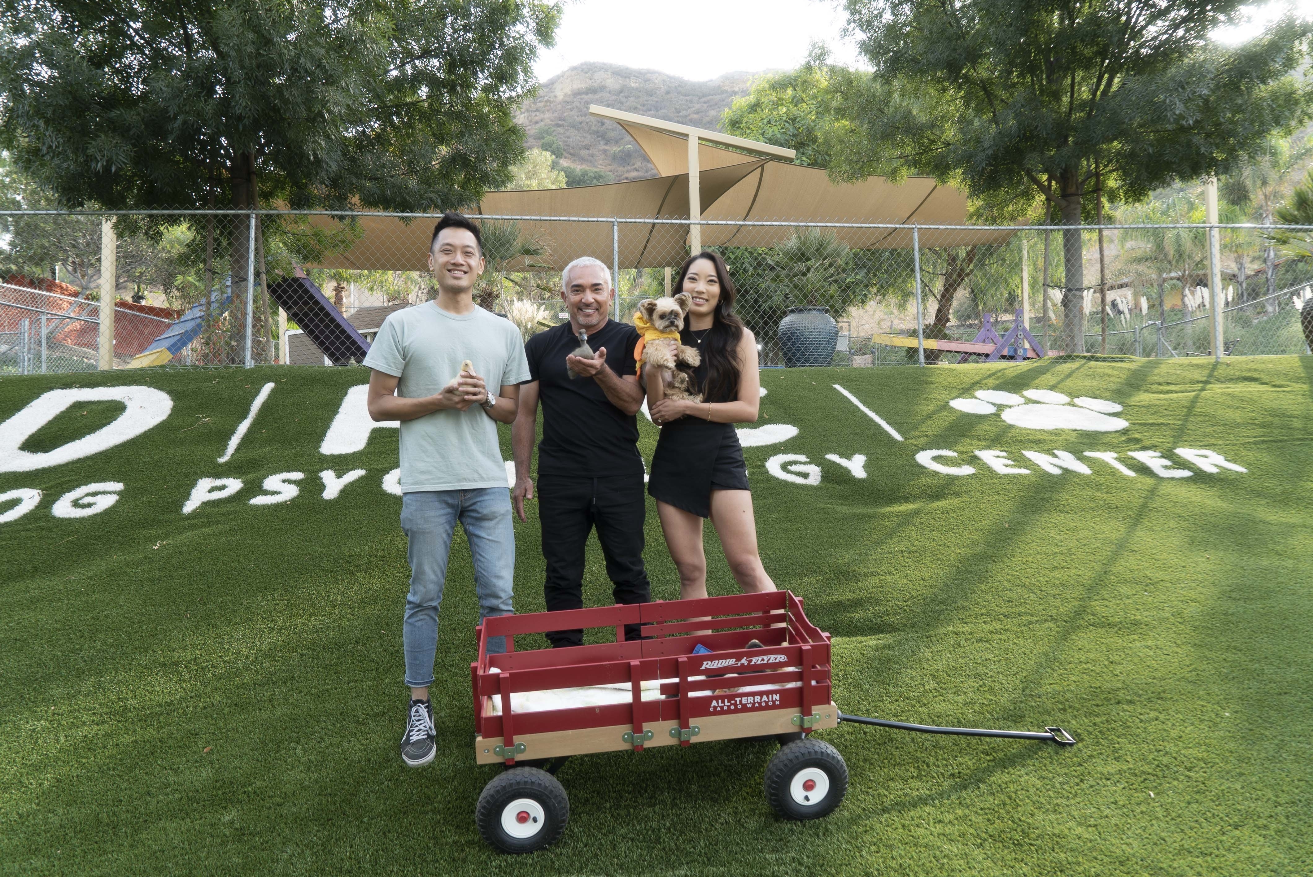 Cesar Millan  Tel maître, tel chien  Apte au service (1).jpg
