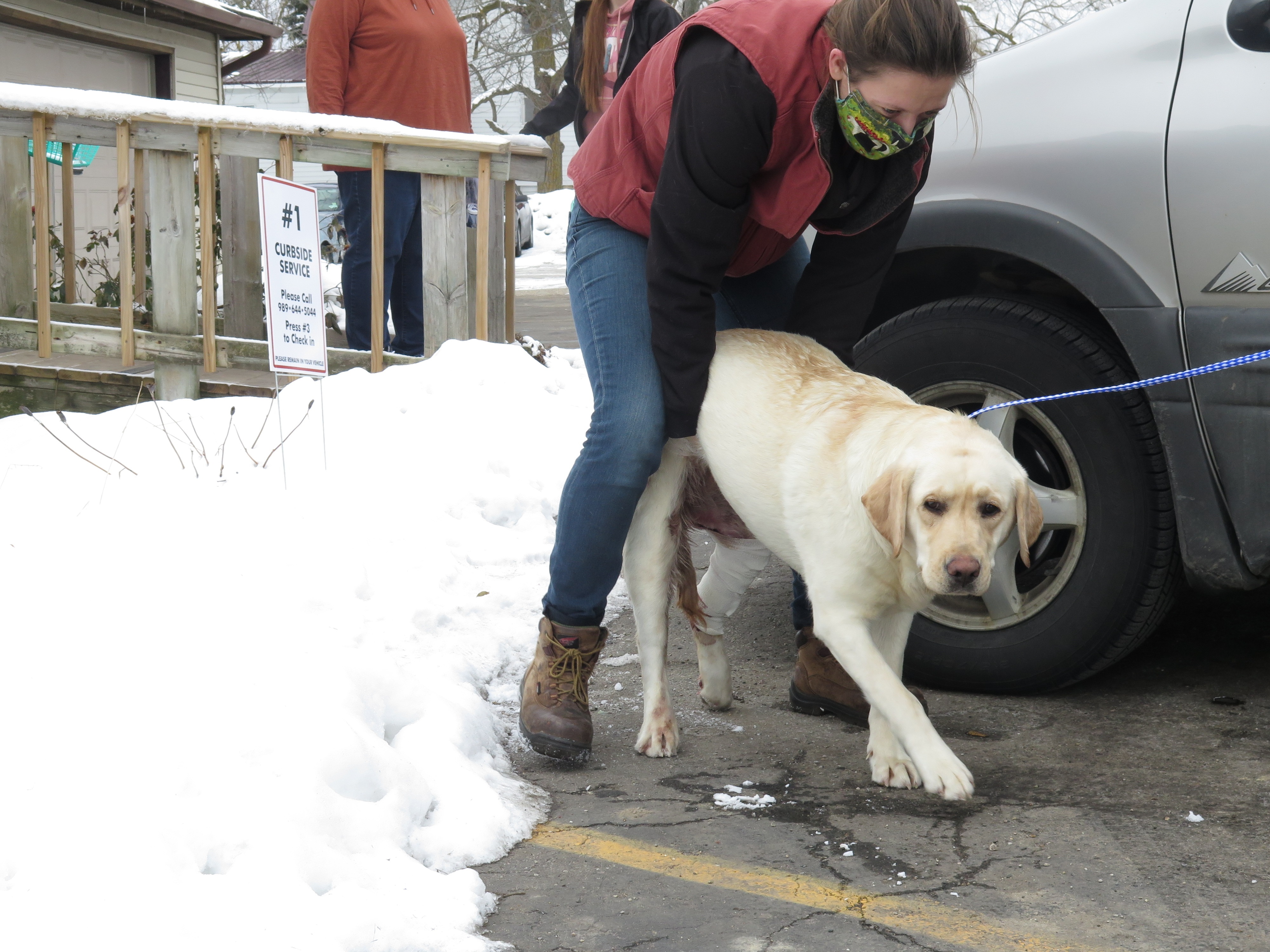 L'incroyable Dr Pol  Le seigneur des ann-os (3).jpg