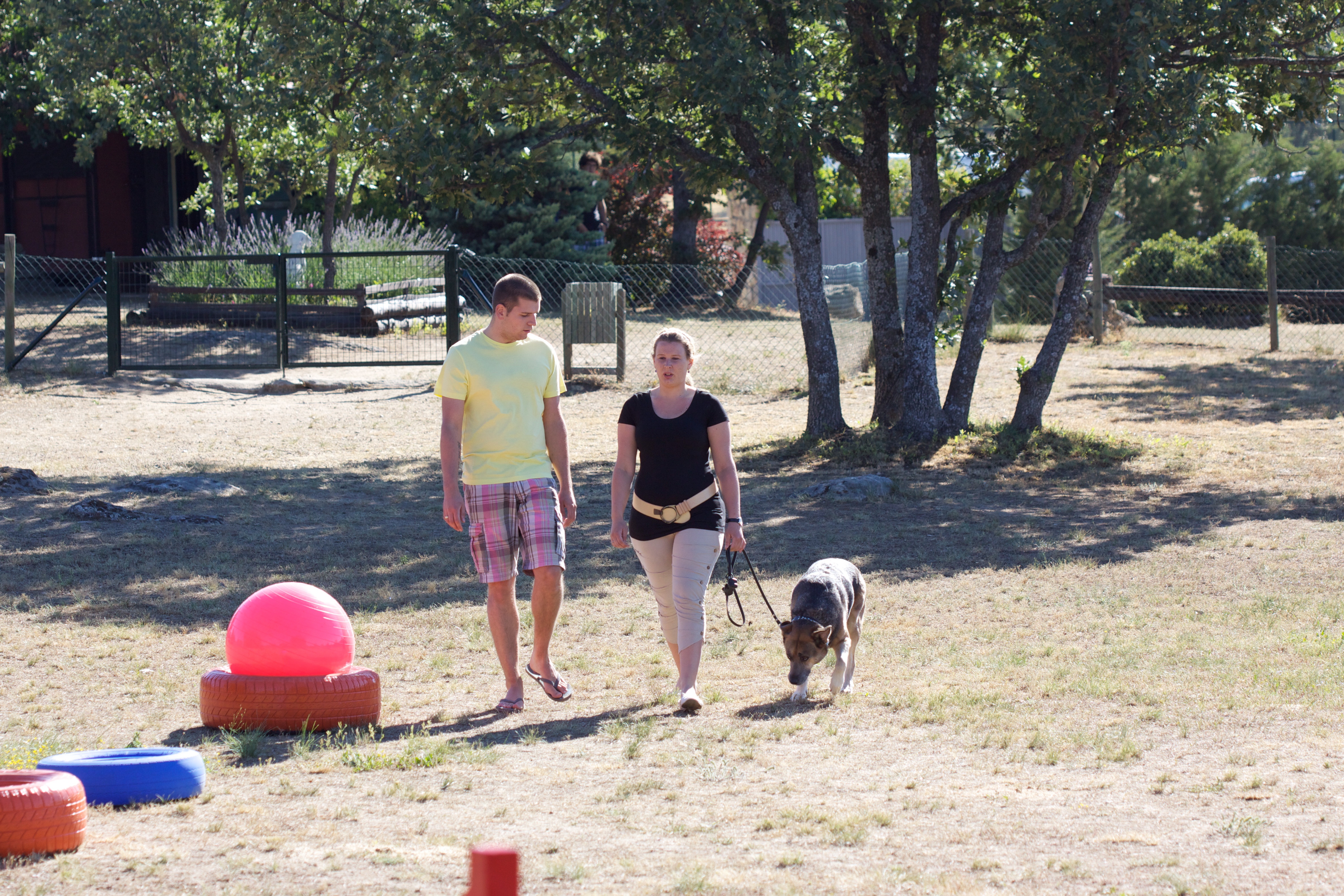 Super Cesar  Dompter Mambo (2).jpg