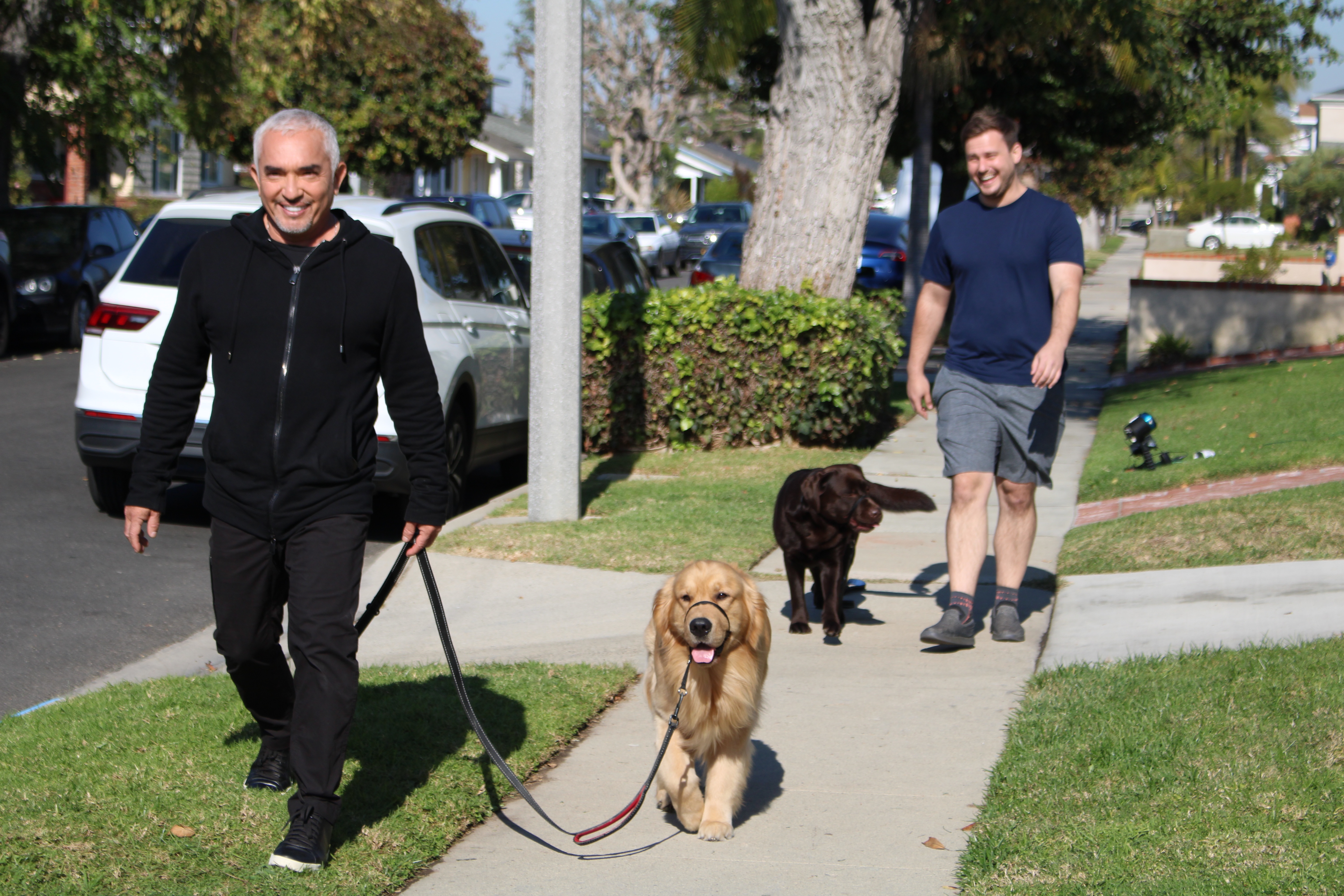 Cesar Millan  Tel maître, tel chien - Thérapie canine (1).jpg