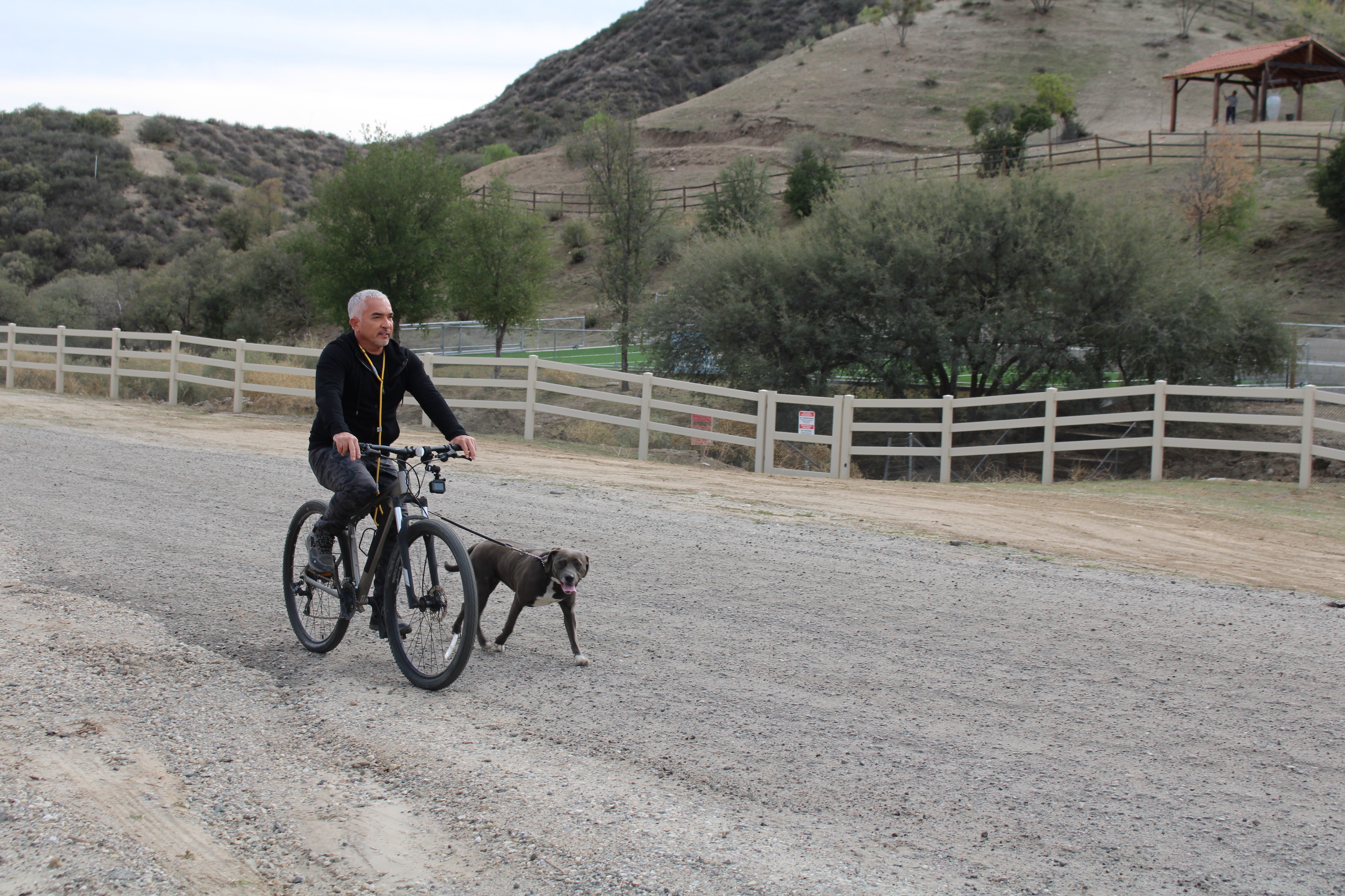 Cesar Millan  Tel maître, tel chien - Bombe à retardement (3).jpg