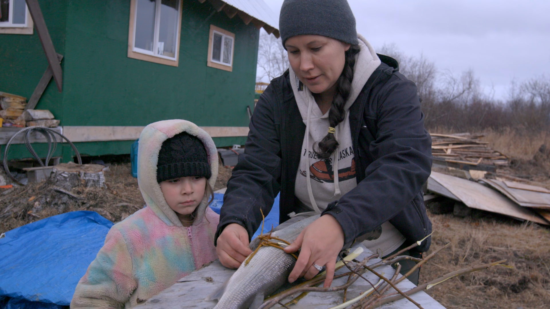 Alaska  Nouvelle vie - L’intrus (3).JPG