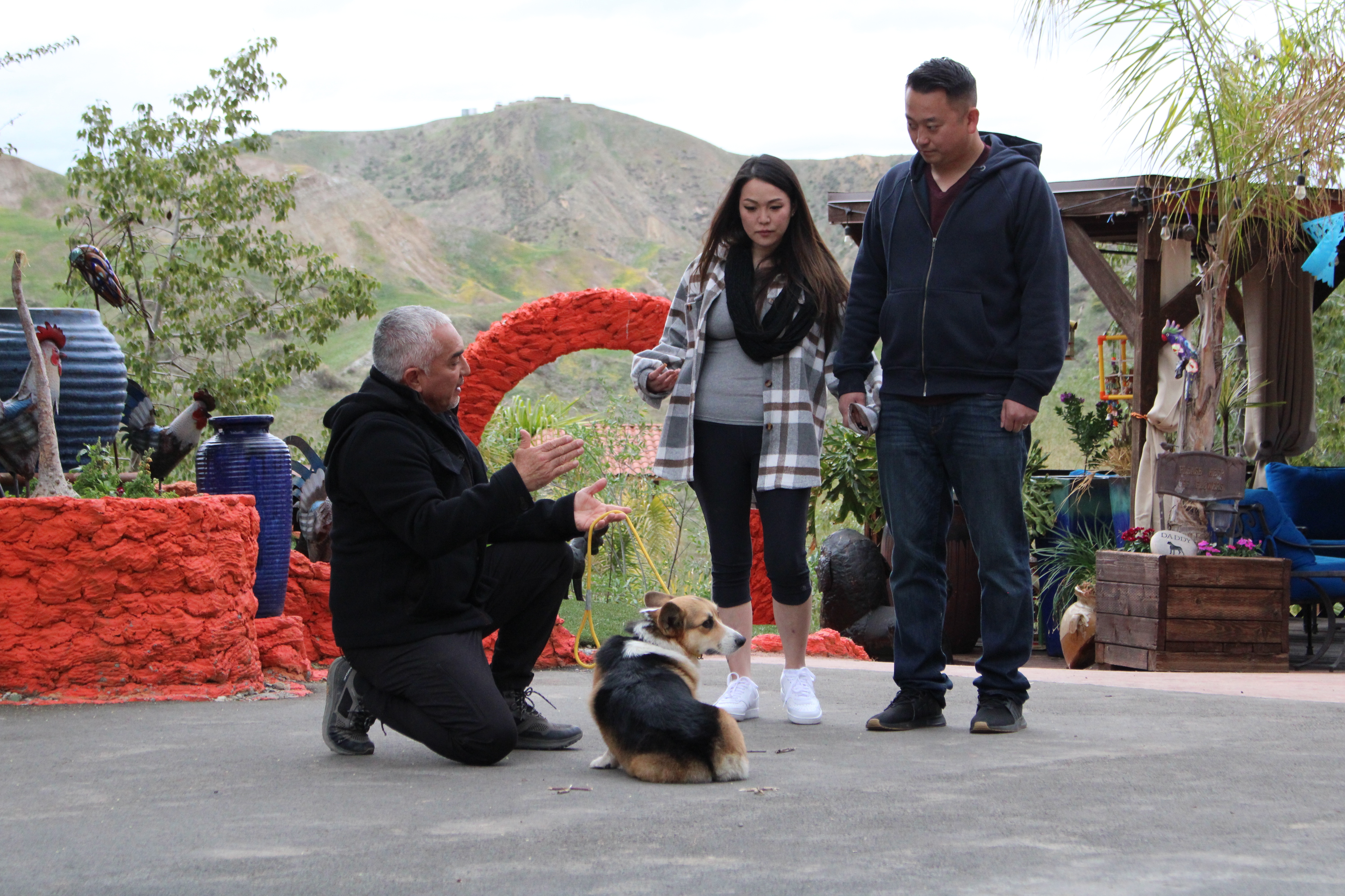 Cesar Millan  Tel maître, tel chien - Petit, mais costaud (3).jpg