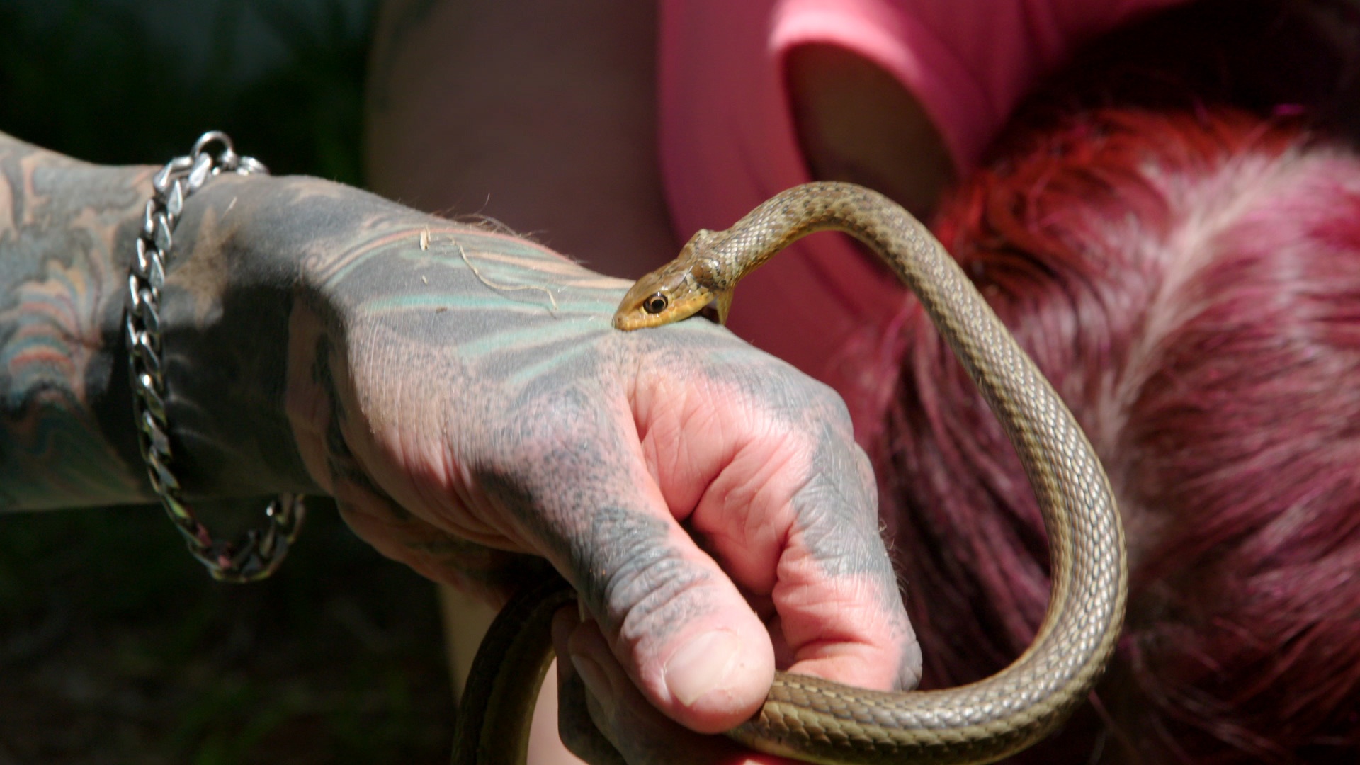 Snakes In The City  Dans tous ses états (2).jpg