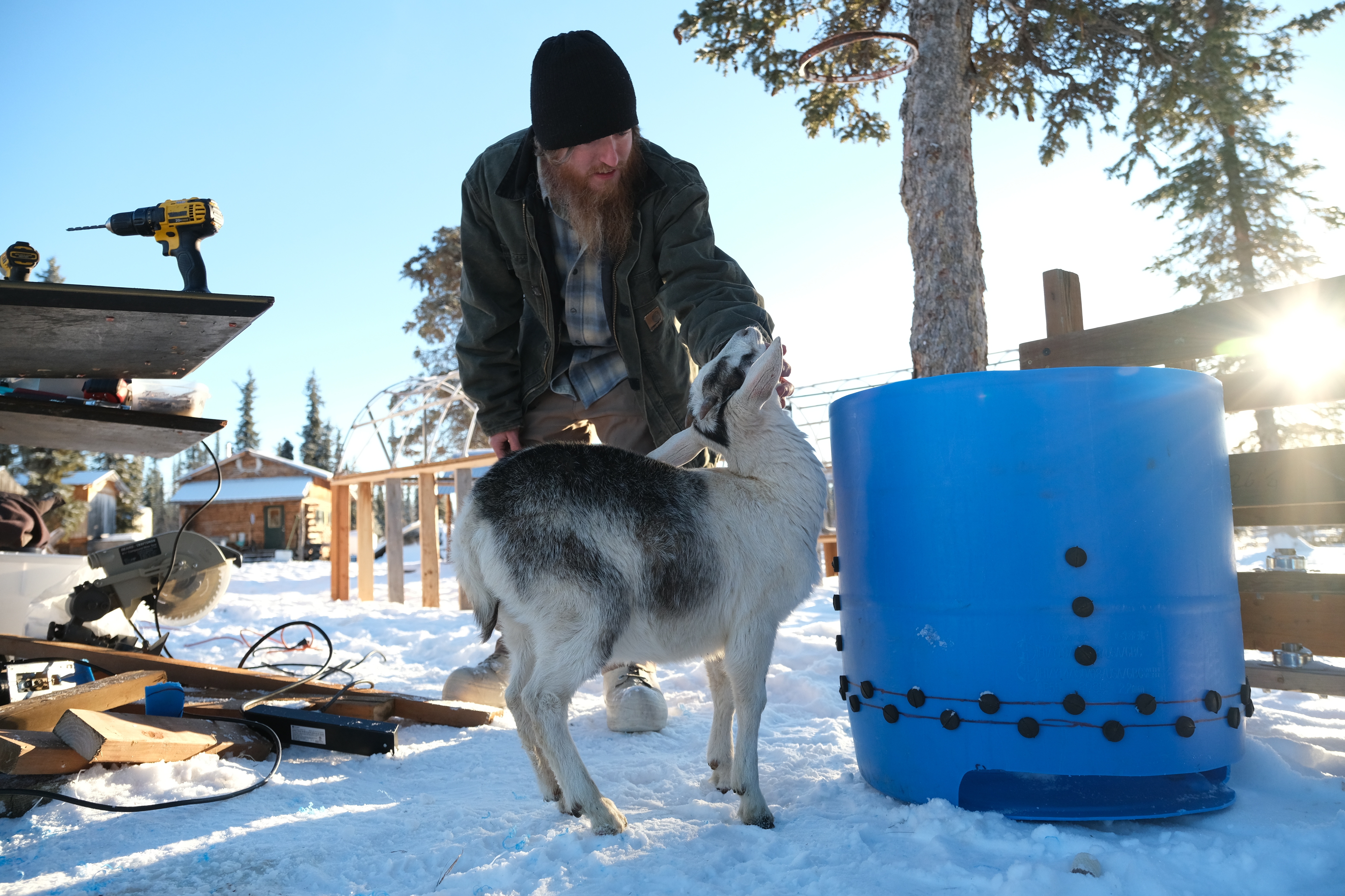 Alaska  Nouvelle vie  Terre sauvage (2).jpg