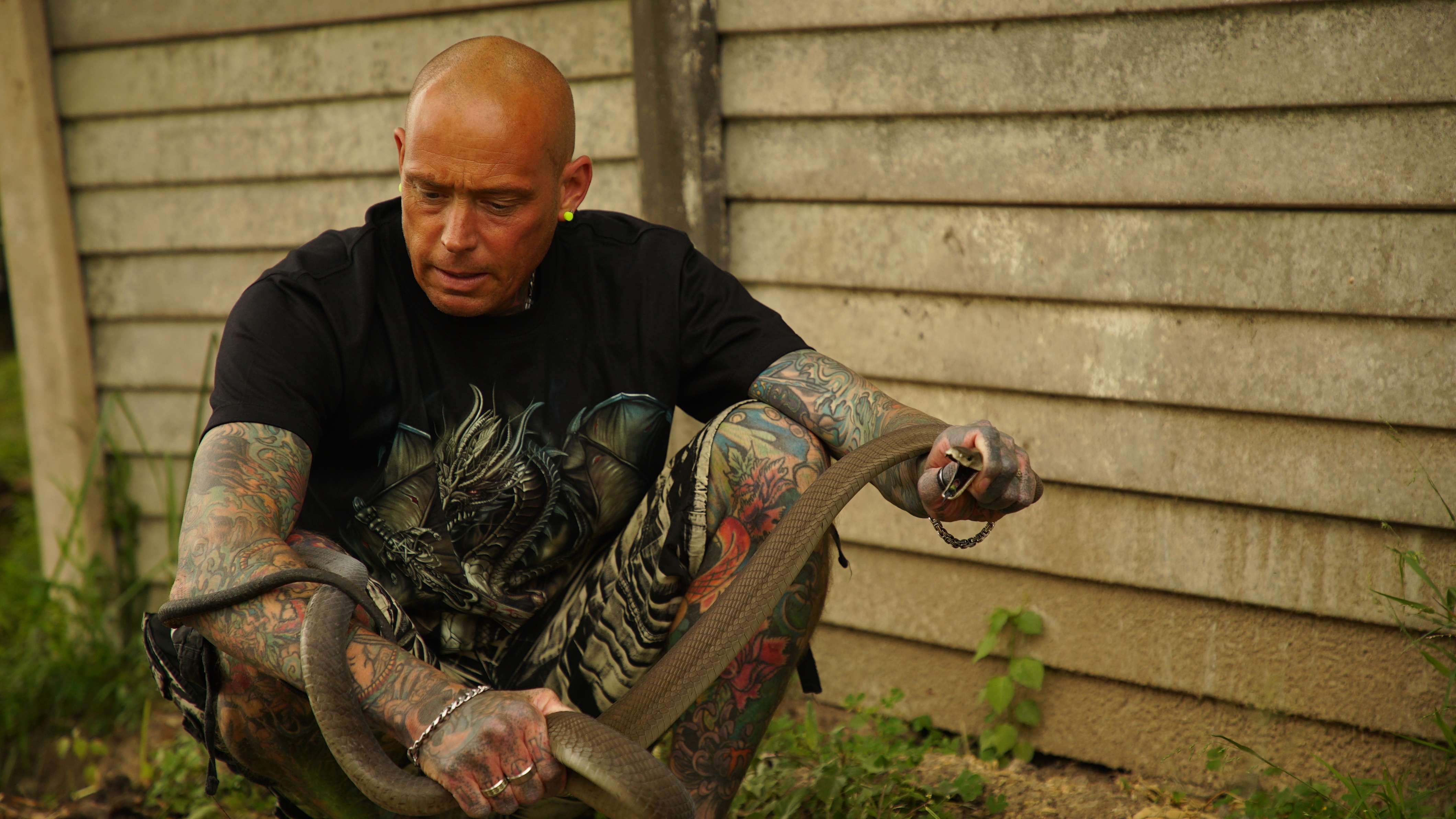 Snakes In The City  Gigantissime (2).jpg